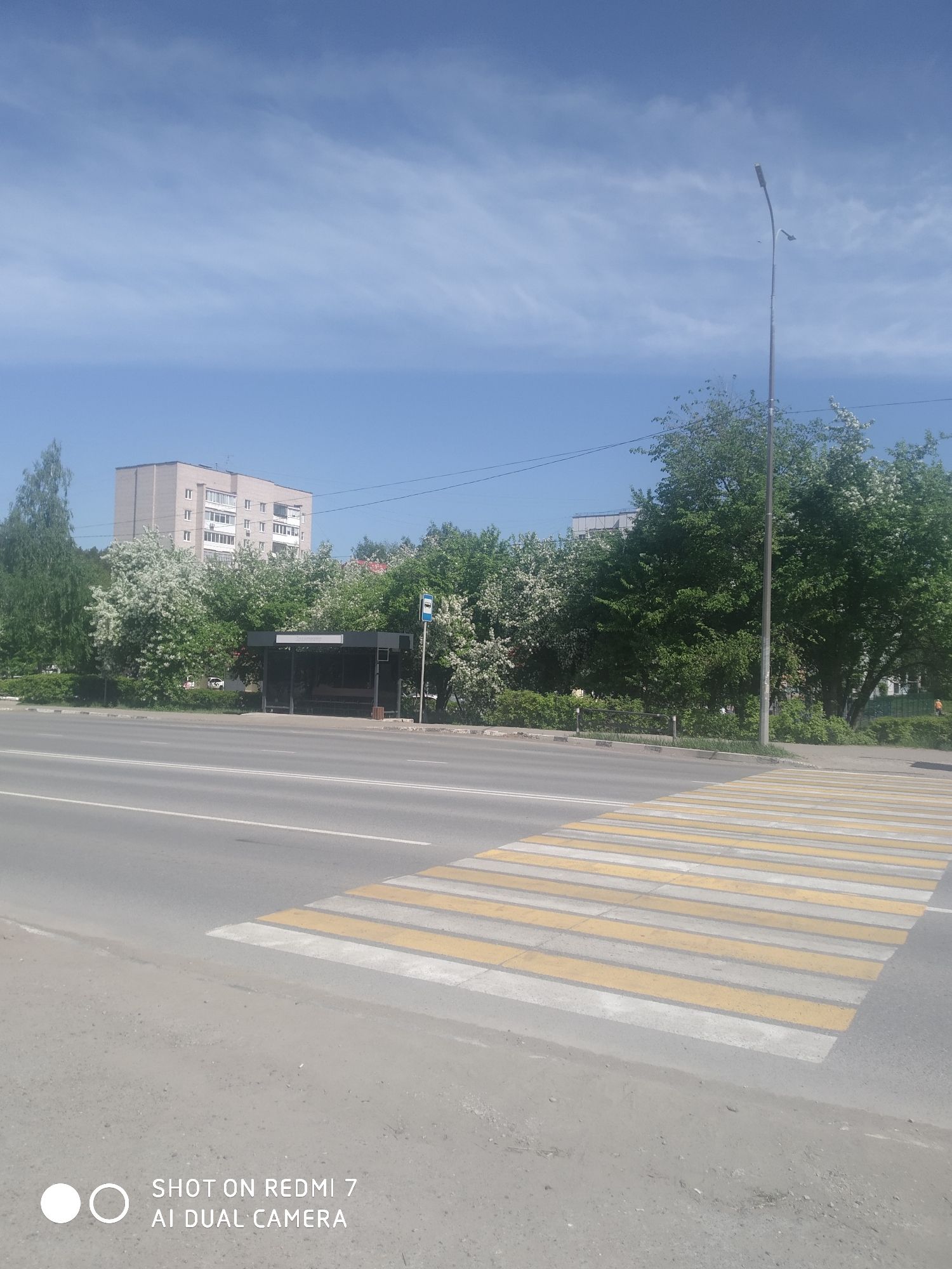 The image shows a street scene in the city of Chaikovsky, Russia. The foreground features a pedestrian crosswalk with yellow and white stripes. Beyond the crosswalk is a road with lane markings. On the other side of the road, there is a bus stop shelter. Behind the shelter are trees and a multi-story residential building. A street light stands near the trees. The sky is blue with some clouds. The weather appears to be sunny. There is a sign with a bus icon.