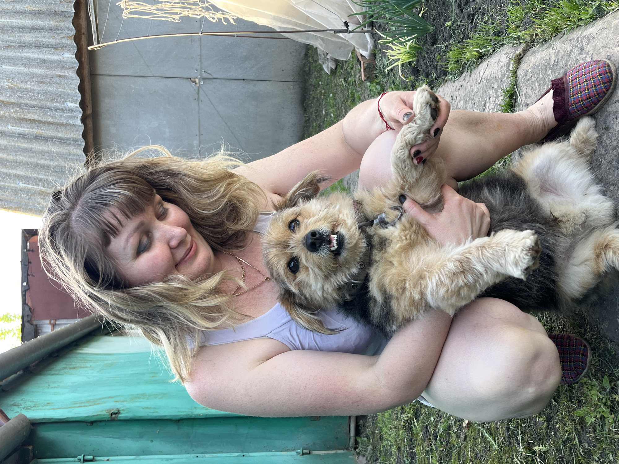 A woman with blonde hair is sitting cross-legged on the ground, holding a small, tan and gray dog in her lap. The dog is on its back, paws in the air, with its teeth showing. The woman is smiling and looking at the dog. They are in an outdoor setting, with a green wooden structure and a gray metal building visible in the background. There is grass and some plants growing around them. The woman is wearing a white tank top and patterned slippers. There is no reliable information in the image to establish the location as the city of Бахмутово, Russia.