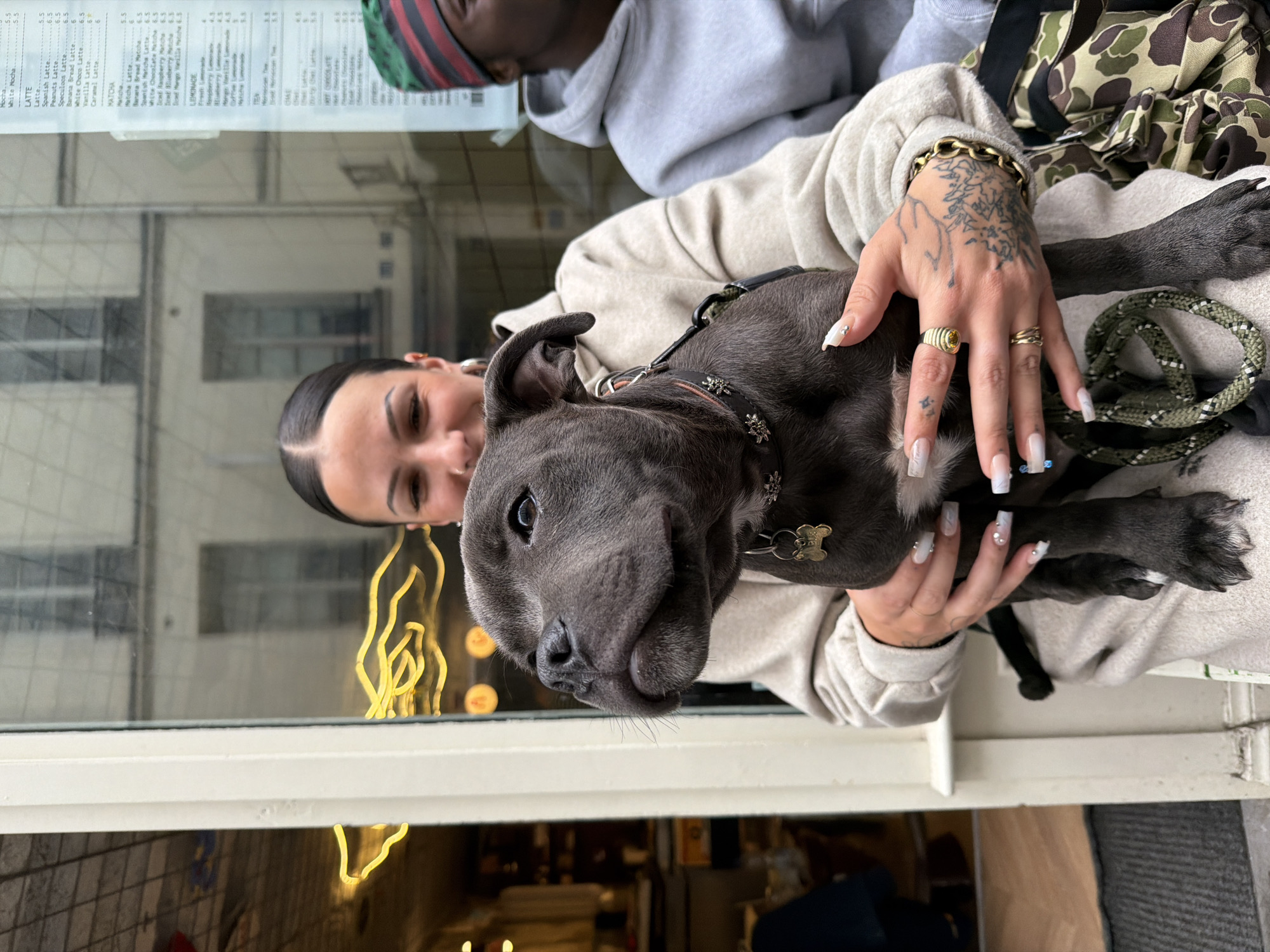 The image shows a woman holding a grey pitbull dog with a decorative collar with silver embellishments and a dog-bone-shaped tag. The woman has brown hair pulled back, tan skin, tattoos on her hand and a gold chain bracelet, and multiple rings. The scene appears to be outdoors in Paris, France, as reflected in the window behind them. The window also displays a menu, suggesting a restaurant or cafe. A man can be seen behind her, wearing a grey hoodie and a hat with red and green stripes.