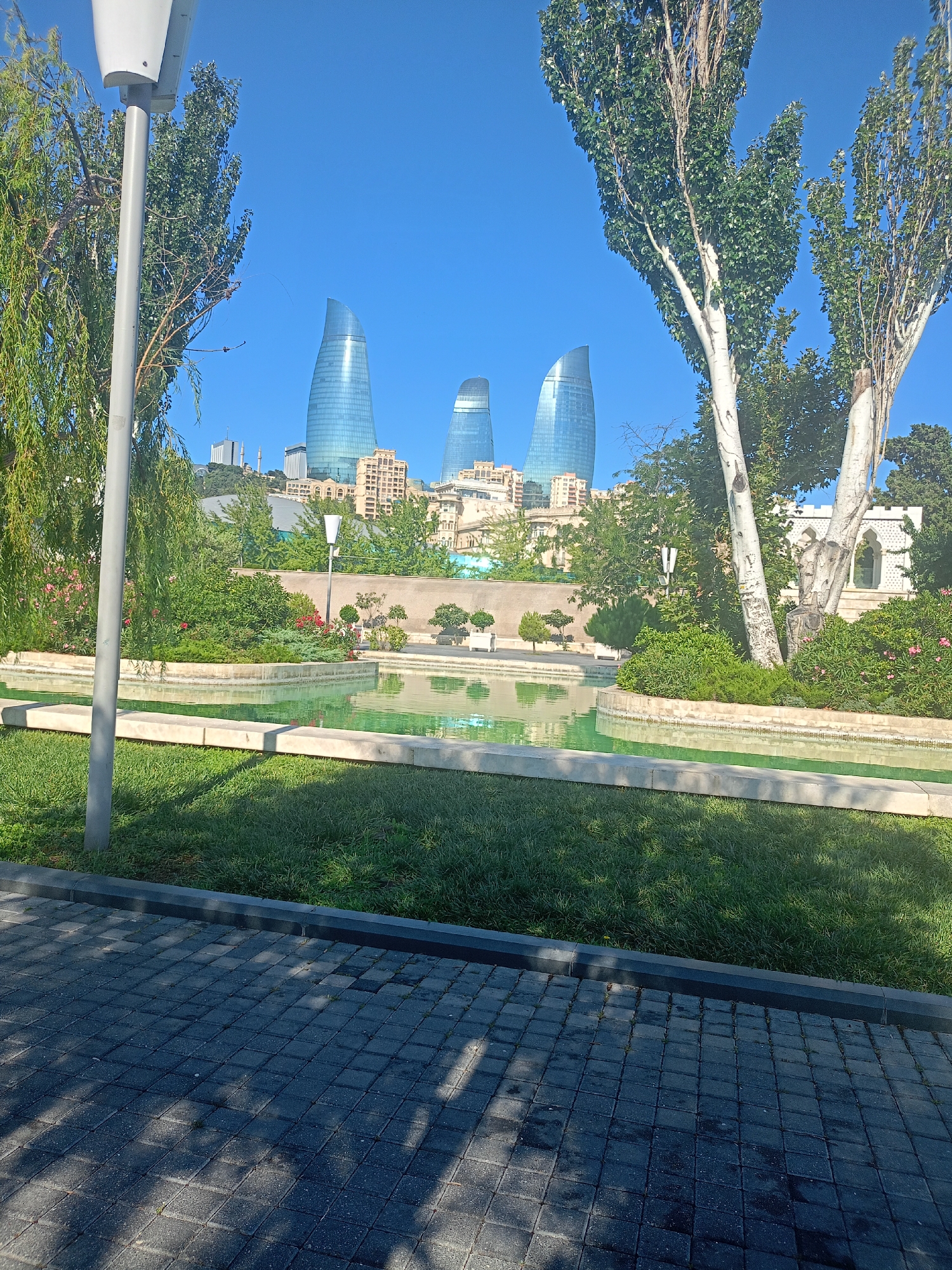 In an urban park setting under a clear blue sky, three distinct flame-shaped glass skyscrapers rise prominently in the background. In the foreground, a paved walkway made of dark gray square bricks leads the eye toward a lush green lawn. Beyond the lawn, a tranquil rectangular pool with green water reflects the surrounding environment. The pool is bordered by light-colored stone. Dense green foliage, including trees and bushes, frames the pool and creates a verdant atmosphere. Several young trees with white trunks and green leaves are visible, adding to the park's natural beauty. A tall, gray lamppost stands on the left side of the frame, partially obscured by a weeping willow tree. The scene suggests a well-maintained urban oasis designed for relaxation and enjoyment.