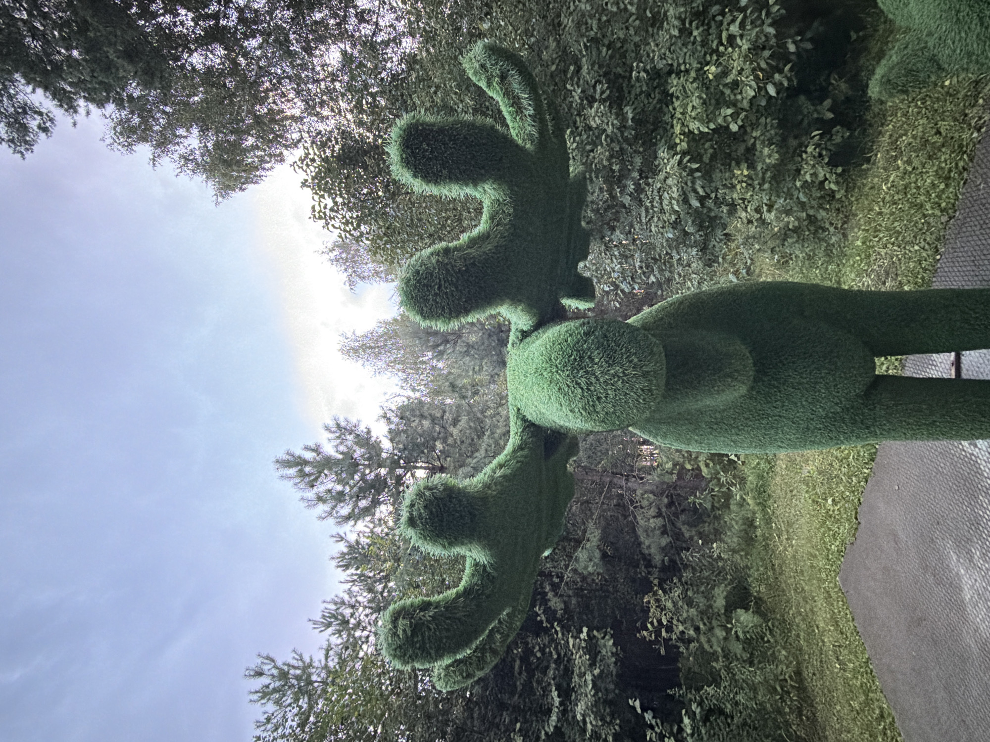The image shows a green, artificial topiary shaped like a moose. The moose is positioned in an outdoor setting with trees and grass surrounding it. The sky is overcast. The ground in front of the moose appears to be a paved or rubberized surface. The topiary is the main subject, with its large antlers prominently displayed.