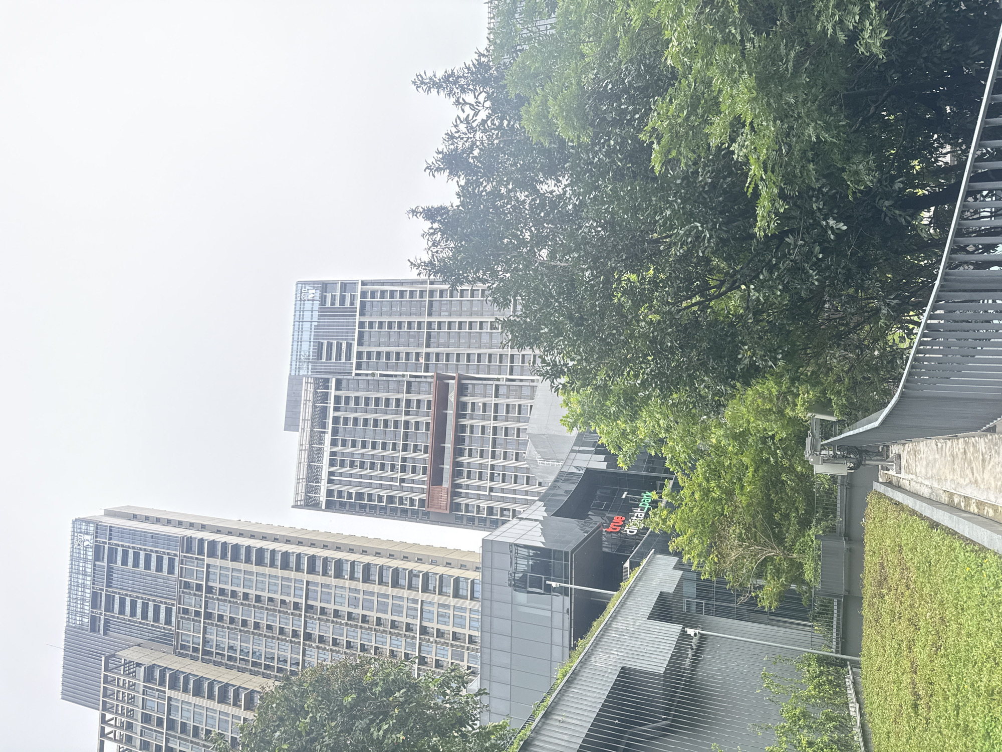 The image depicts a scene in Bangkok, Thailand, featuring modern architecture and lush greenery. In the background, two towering high-rise buildings dominate the skyline. The building on the left is a light-colored, rectangular skyscraper with many windows and balconies. To its right, another skyscraper, slightly darker in tone, also exhibits a similar architectural style with numerous windows and balconies, and a distinct reddish-brown horizontal band about two-thirds of the way up.
In the mid-ground, a contemporary building with a glass facade is visible. The words "true digital park" are prominently displayed in red and green lettering on this building. Adjacent to this structure is a building with a metallic, ribbed facade.
The foreground is characterized by a green rooftop or terrace area covered with dense, low-lying green vegetation. A concrete pathway runs alongside this green space, bordered by a gray metal railing. A few trees with dense green foliage are scattered throughout the scene, particularly in the mid-ground and right side, adding a natural element to the urban landscape. The sky is overcast and appears white, suggesting a cloudy day. No people are visible in the image.