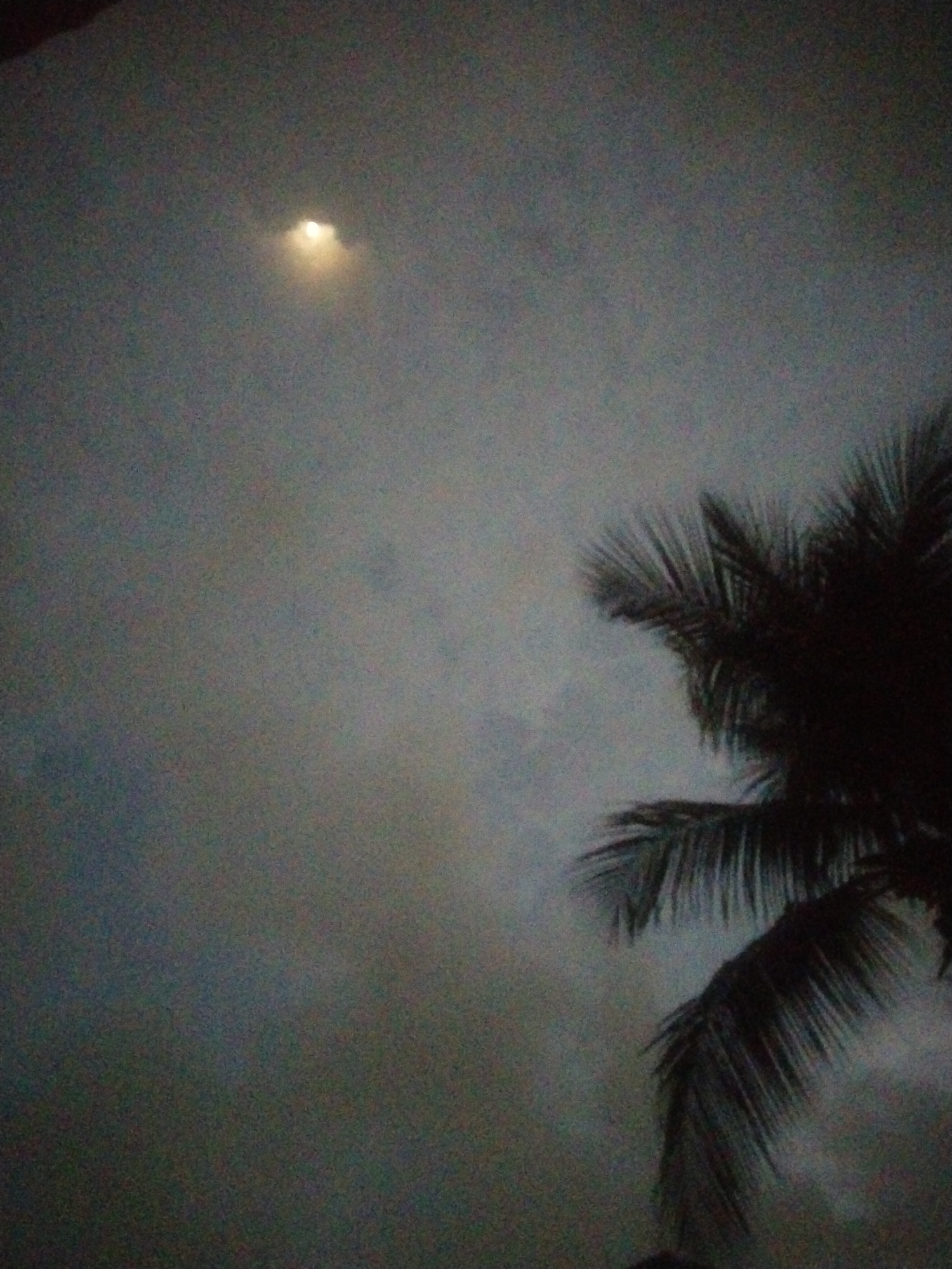The image captures a moonlit sky with a partially obscured moon, likely taken at night. In the foreground, the silhouette of a palm tree is visible, its fronds extending into the frame. The sky is hazy or cloudy, diffusing the moonlight. The scene appears to be an outdoor setting, possibly in Uyo, Nigeria, given the presence of a palm tree, which are common in tropical and subtropical regions like Nigeria. There are no people or discernible human activities in the image. The overall impression is one of a serene, natural environment at night.