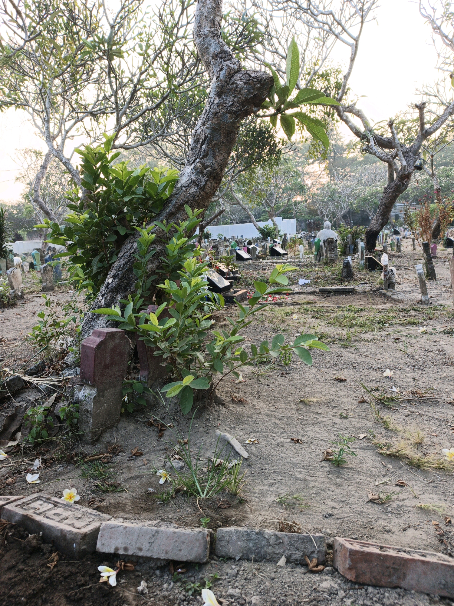 The image depicts a graveyard in Ketegan, Indonesia, characterized by a sandy, earthy ground sparsely covered with grass and fallen leaves. Several gravestones of various shapes and sizes are scattered throughout the scene, some appearing weathered and old, while others are newer and more uniform. Trees with bare branches and some foliage are present, casting shadows and adding to the somber atmosphere. In the background, several individuals are visible, some appearing to be visiting graves, while others are engaged in what could be prayer or reflection. The lighting suggests it is either early morning or late afternoon, with the sun casting a soft glow. The overall environment is one of stillness and solemnity, typical of a place of remembrance.