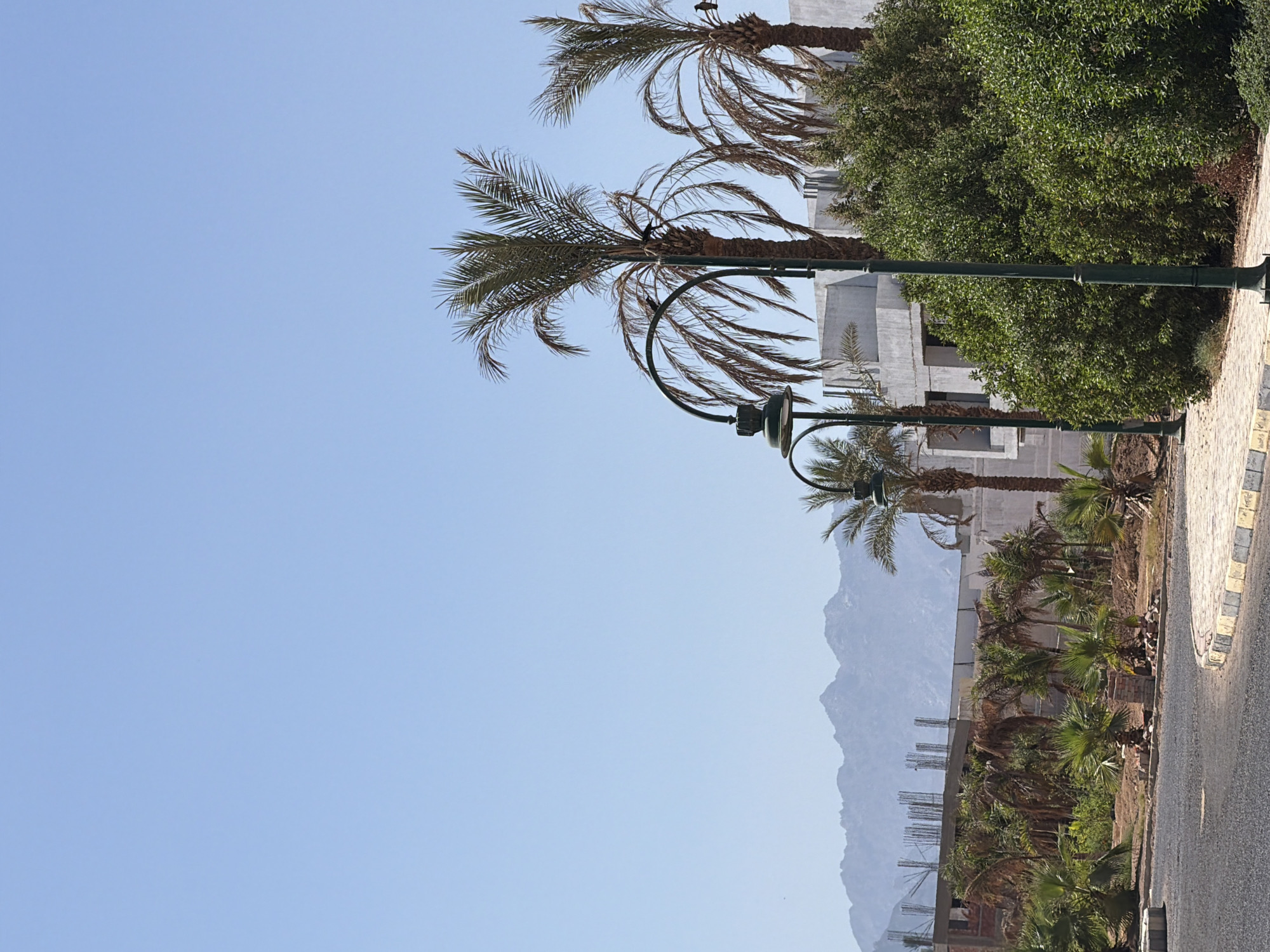 This image depicts a scenic view in Sharm El Sheikh, Egypt, likely during daylight hours given the clear, bright sky and the presence of strong shadows. The scene is dominated by lush greenery, including several palm trees with their characteristic fronds reaching towards the sky. In the background, a mountain range is visible, its slopes softened by distance and atmospheric haze.
The foreground features a road or pathway with a distinctive checkered border, suggesting a developed area or resort. A dark-colored streetlamp with a curved arm stands prominently, its design adding a touch of urban infrastructure to the natural landscape. The architecture in the mid-ground appears to be under construction, with visible concrete pillars and rebar, hinting at ongoing development or expansion of the area.
The presence of palm trees and the distant mountains are strong indicators of a warm, possibly arid, climate characteristic of Egypt's Sinai Peninsula. The overall mood is serene and tranquil, with no people or discernible activity beyond the static elements of the environment. The image captures a moment of natural beauty juxtaposed with signs of human development and construction. There is no visible text in the image.