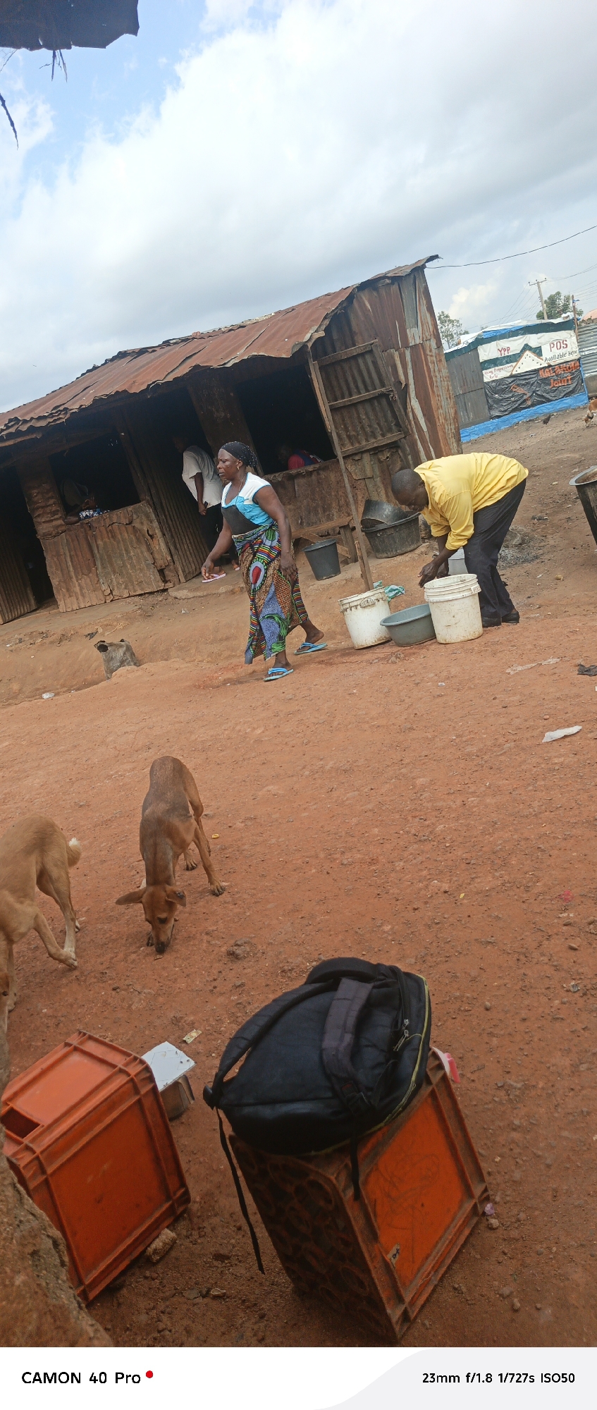This media file depicts a scene in Barikin Gidar Kanat, Nigeria, under a cloudy sky, suggesting it could be daytime, possibly late morning or afternoon. The primary subjects are two people, a woman and a man, and three dogs in a dusty, reddish-brown outdoor setting.
The woman, wearing a patterned skirt and a blue and white top with a dark band, is walking away from a dilapidated structure. She has a headscarf and appears to be wearing flip-flops. Her posture suggests she is moving with purpose. The man, dressed in a bright yellow long-sleeved shirt and dark pants, is bending over to interact with several buckets on the ground. He seems to be collecting or pouring water from one of the buckets. The activity suggests a need for water, possibly for household use or related to the nearby structure.
The structure itself appears to be a makeshift building with a corrugated metal roof and walls, suggesting a humble or possibly informal settlement. In the background, there's a sign with visible text that reads "YPP POS Available Here." This indicates a point of sale, likely for services or goods, and the presence of the Young People's Party (YPP).
Three dogs are present in the scene. One is positioned in the foreground, sniffing the ground. Another dog, a light brown color, is standing with its head down, also seemingly foraging or investigating the ground. A third dog, a darker brown, is partially visible in the far left of the image.
In the foreground, there are two large orange plastic crates, one of which has a black backpack placed on top of it. These crates might be used for transporting goods or as makeshift seating. The overall impression is one of everyday life in a community where resources like water might be a concern, and informal economic activities are present. The scene is gritty and grounded, reflecting the environment.