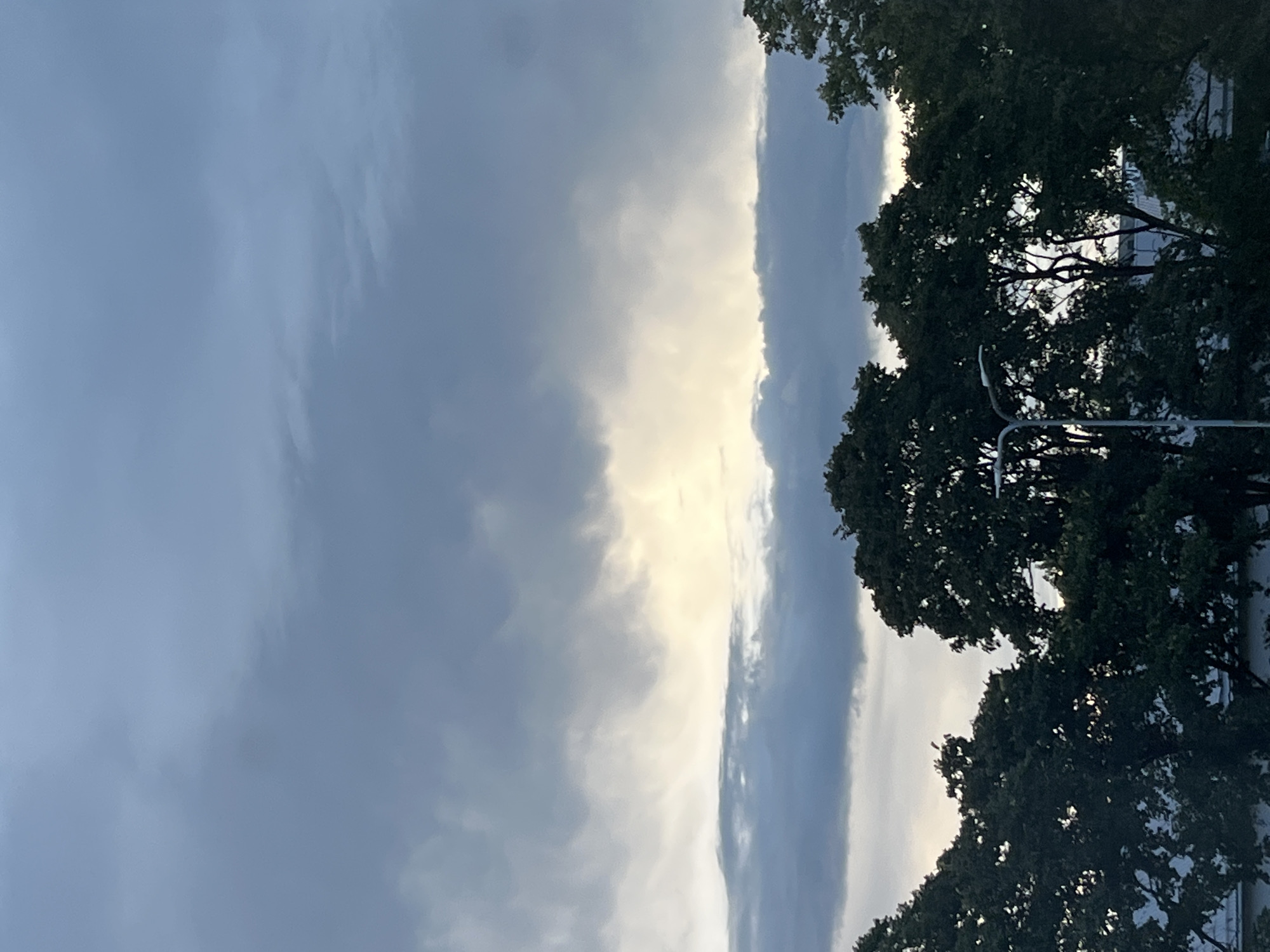 The image depicts a view of the sky above trees in the city of Kohtla-Järve, Estonia. The sky is filled with various shades of gray and white clouds, with a bright yellow-white patch of light peeking through the clouds in the middle of the frame. The dense foliage of dark green trees dominates the lower portion of the image, with the tops of some buildings visible through the gaps in the leaves. A streetlamp is visible on the right side of the frame, its pole extending upwards amongst the trees. The scene appears to be captured during the daytime, possibly late afternoon or evening, given the diffused lighting and cloud cover. There are no people visible in the image.