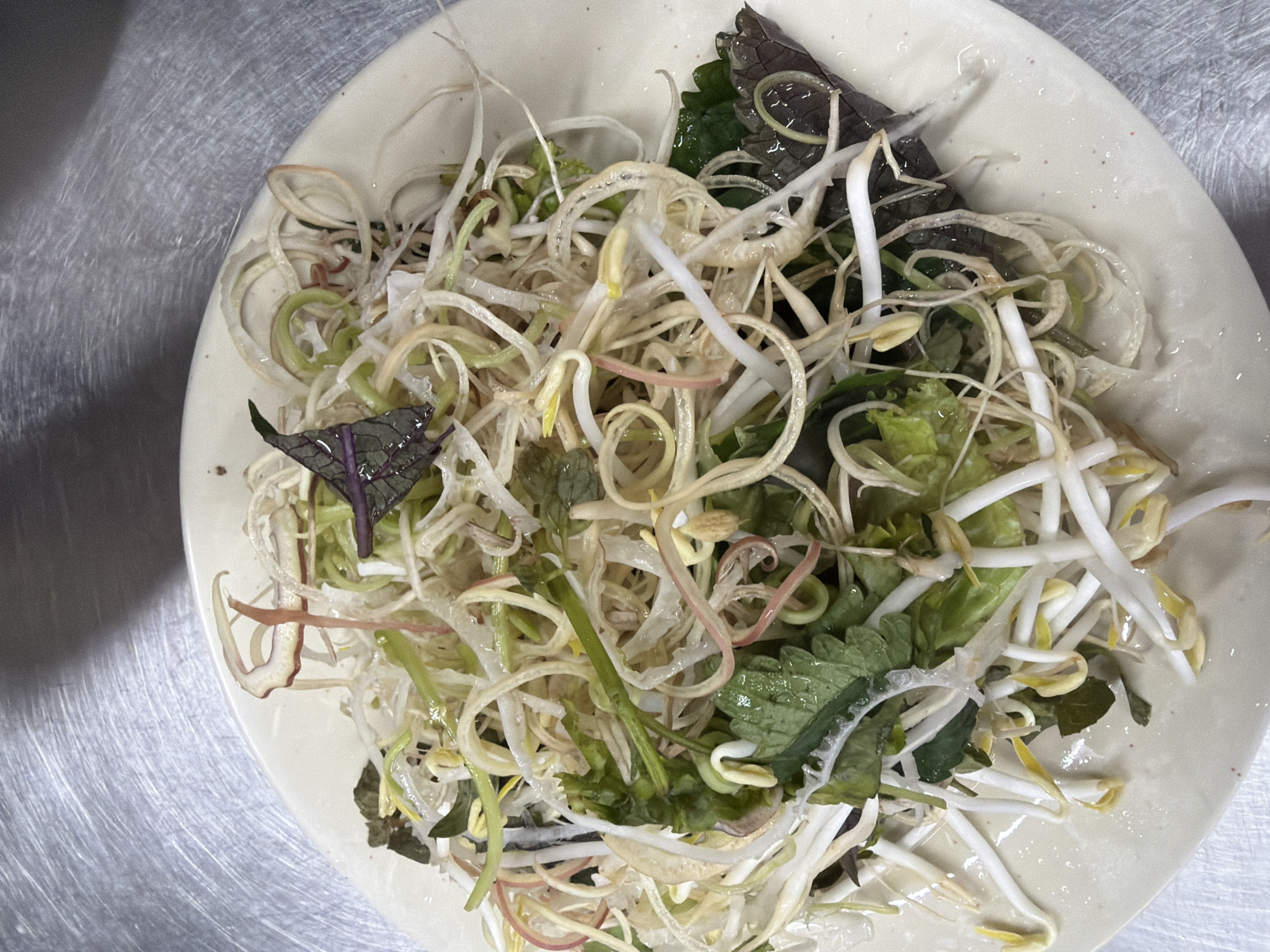 A top-down view of a white plate filled with various sprouts, greens, and a few purple leaves. The sprouts are mostly bean sprouts, with varying degrees of growth and whiteness. There are also some darker green leafy vegetables mixed in, along with some scallions (or similar) cut into thin rings. A few leaves appear to be of a purple or dark red variety. The plate sits on a stainless steel surface. Specific location information (Đà Nẵng, Vietnam) cannot be confirmed from the image alone.