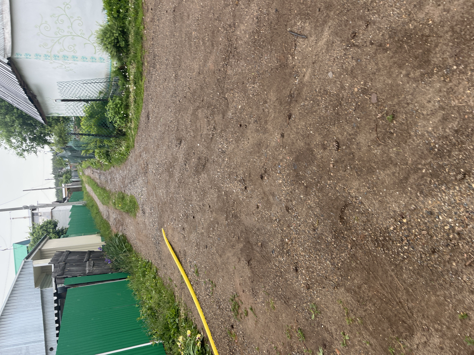 This image captures a view down a semi-rural or suburban dirt and gravel path, likely in Chaikovsky, Russia. The path, composed of loose dirt, small stones, and patches of grass, dominates the central and right portions of the frame, showing faint signs of wear from foot traffic or vehicles. A bright yellow garden hose lies stretched out along the left edge of the path, extending into the distance.
On the left side of the path, a series of residential structures and fences are visible. In the foreground, there's a building with a light-colored, possibly corrugated metal, roof and a vibrant green metal fence. Further along, an aged wooden fence or gate section is present, followed by more green metal fencing. Distant houses and utility poles can be seen under an overcast, bright sky, suggesting it is daytime but not sunny.
On the right side of the path, a white building with a decorative wall stands prominently. Its facade features elegant light green scrollwork and a blue patterned border near the base. A green wire mesh fence separates this building from the path, with a strip of overgrown grass and small flowering plants at its base.
The ground of the path itself is varied, with individual pebbles and small stones interspersed with finer soil. Some pine cones are scattered across the path, especially in the foreground. The overall scene suggests a quiet, established residential or dacha (countryside cottage) area. There is no visible text in the image.