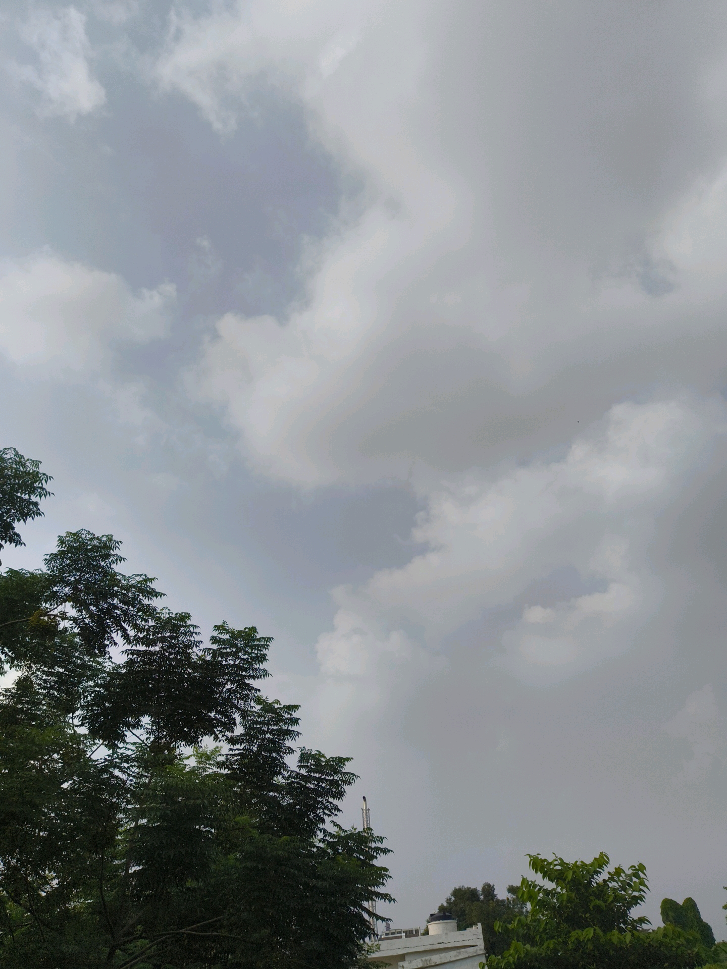 A low-angle, vertical outdoor shot captures a cloudy, overcast sky dominating the frame. Lush green trees with dense foliage occupy the bottom left and right portions of the image, obscuring a portion of a white building with a water tank and a tall industrial chimney visible in the middle-right background. The sky is filled with various shades of gray clouds, with some appearing lighter and more diffused, suggesting a partly cloudy or pre-rain condition. The overall scene depicts a natural environment with some urban elements in Mohali, India.