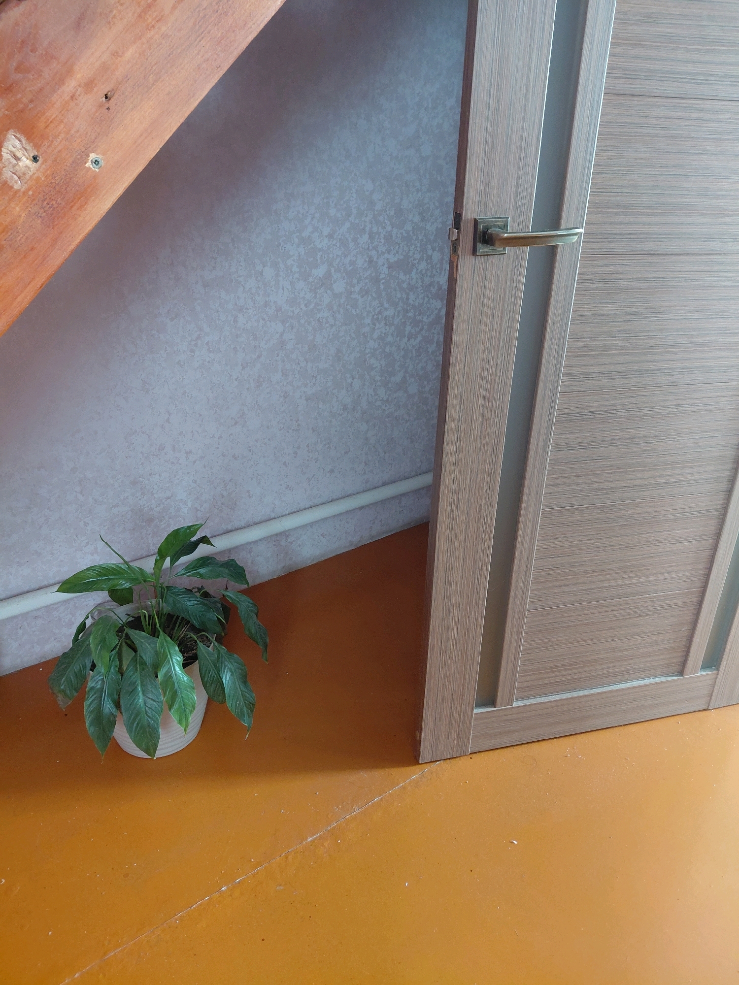 The image depicts an interior scene, likely a corner of a room with a door and a plant. A wooden beam, possibly part of a staircase, is visible in the upper left corner, attached to a textured light-colored wall. A white pipe runs horizontally along the wall above the floor. In the lower left quadrant, a potted green plant with long, pointed leaves sits on an orange floor. To the right, a light wood-grain door with frosted glass panels is slightly ajar. The door has a bronze-colored handle and latch. The floor is a smooth, solid orange color with some minor scuff marks and a visible seam running diagonally. The lighting suggests an indoor environment with light coming from an unseen source. The location is identified as Malinovka, Russia.