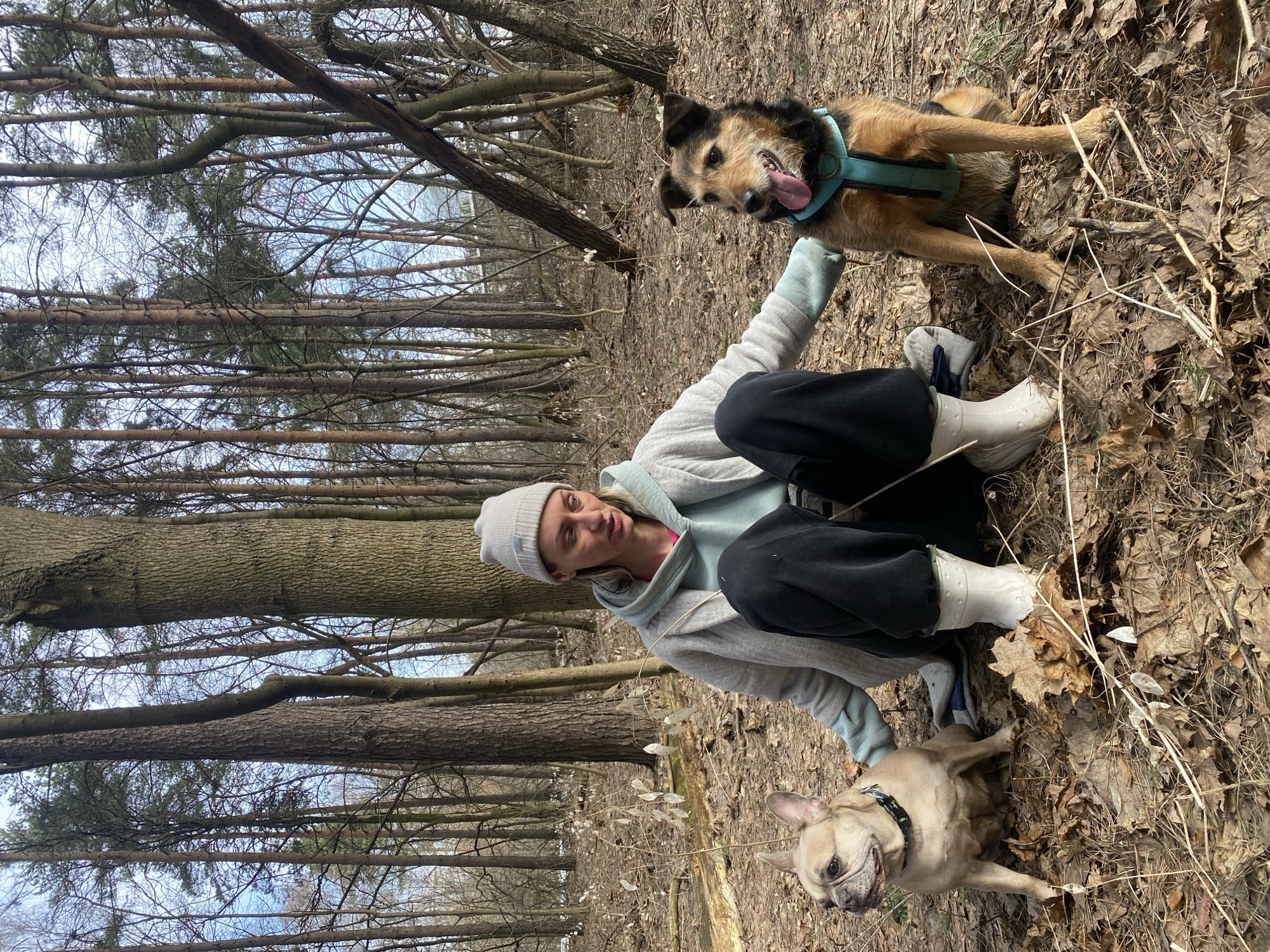A single female subject is seated on the ground in a forested area within the city of Moscow, Russia. She is positioned centrally, wearing a light gray beanie, a light gray open hooded jacket over a light blue hooded sweatshirt, black trousers, and white rubber boots. Her gaze is directed slightly to her left. Her left hand rests on or near a fawn-colored French Bulldog seated upright to her left, which wears a dark collar. Her right hand rests on or near a medium-sized, scruffy-haired terrier-type dog with brown and black fur, seated upright to her right, wearing a teal harness. This dog has its tongue extended. The ground is covered extensively with dry, brown deciduous leaves, twigs, and sparse dead vegetation. The background features a dense growth of numerous tall, slender trees, including both bare deciduous trees and conifers, indicating a late winter or early spring season. An elevated structure or bridge is partially visible through the trees in the distant background.