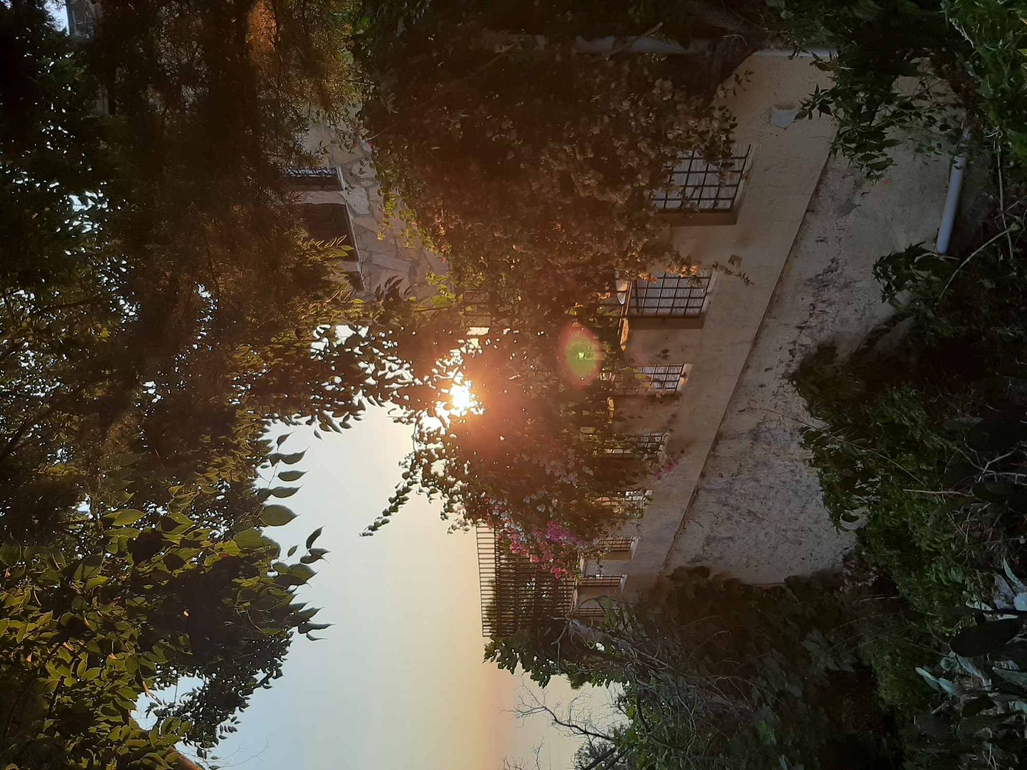 This image depicts a sun-drenched scene overlooking the sea, likely from a higher vantage point within Alanya, Turkey. A building with a light-colored stone facade and barred windows is visible, with a balcony lined with flowering vines. Lush green foliage, including trees and bushes, surrounds the structure, with some branches extending into the foreground, partially obscuring the view. The sun is setting or rising, casting a warm glow and creating lens flare as its rays pierce through the leaves. The sea stretches out to the horizon under a pale sky. The overall atmosphere is tranquil and scenic, suggesting a quiet moment captured in a coastal town.