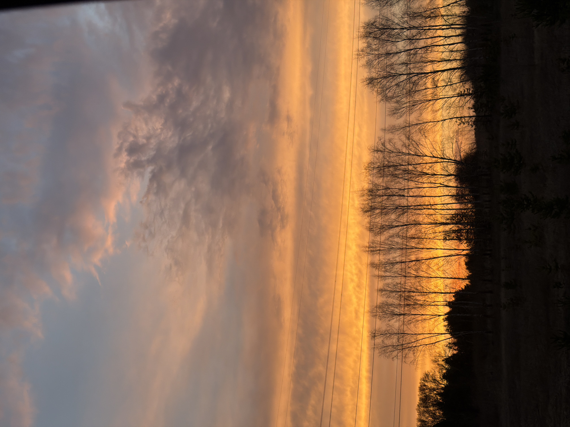 The image depicts a sunset over a landscape in Krasnoyarsk, Russia. The sky is filled with clouds ranging in color from gray and peach to a vivid orange. Power lines stretch across the center of the image. A row of bare trees silhouetted against the colorful sky forms a line across the horizon, with a dark, undefined landscape beyond. The scene is predominantly lit by the setting sun.