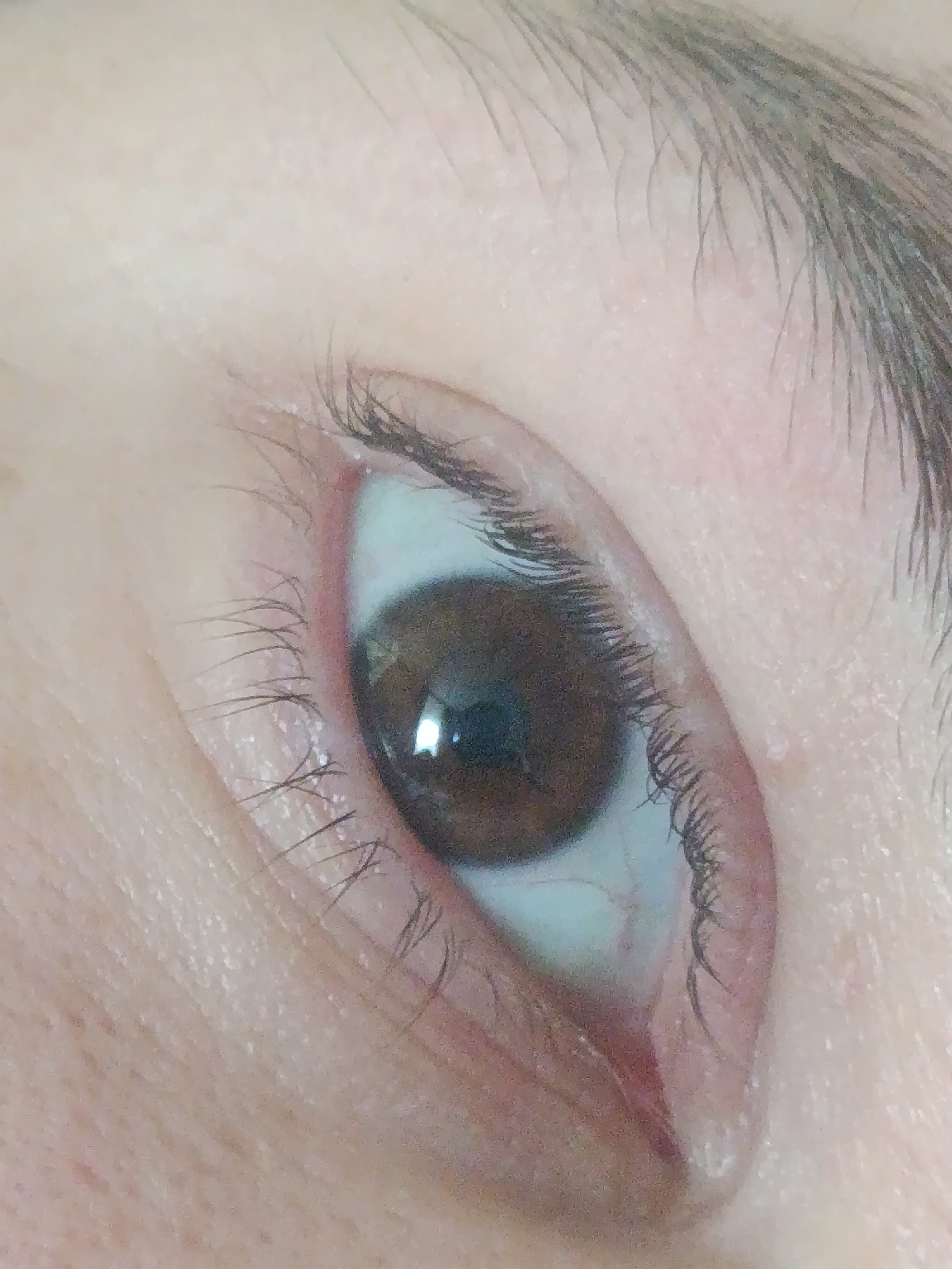The image is a close-up, low-angle shot of a human eye. The eye is brown with a visible reflection of a light source on the iris. Eyelashes are present on both the upper and lower eyelids. The skin surrounding the eye appears to be fair and has visible pores. The lighting in the image is soft and diffused. There is no indication of any specific location within the city of Фролы, Russia, or any other environmental details beyond the immediate area of the eye. The image focuses solely on the eye as the subject.