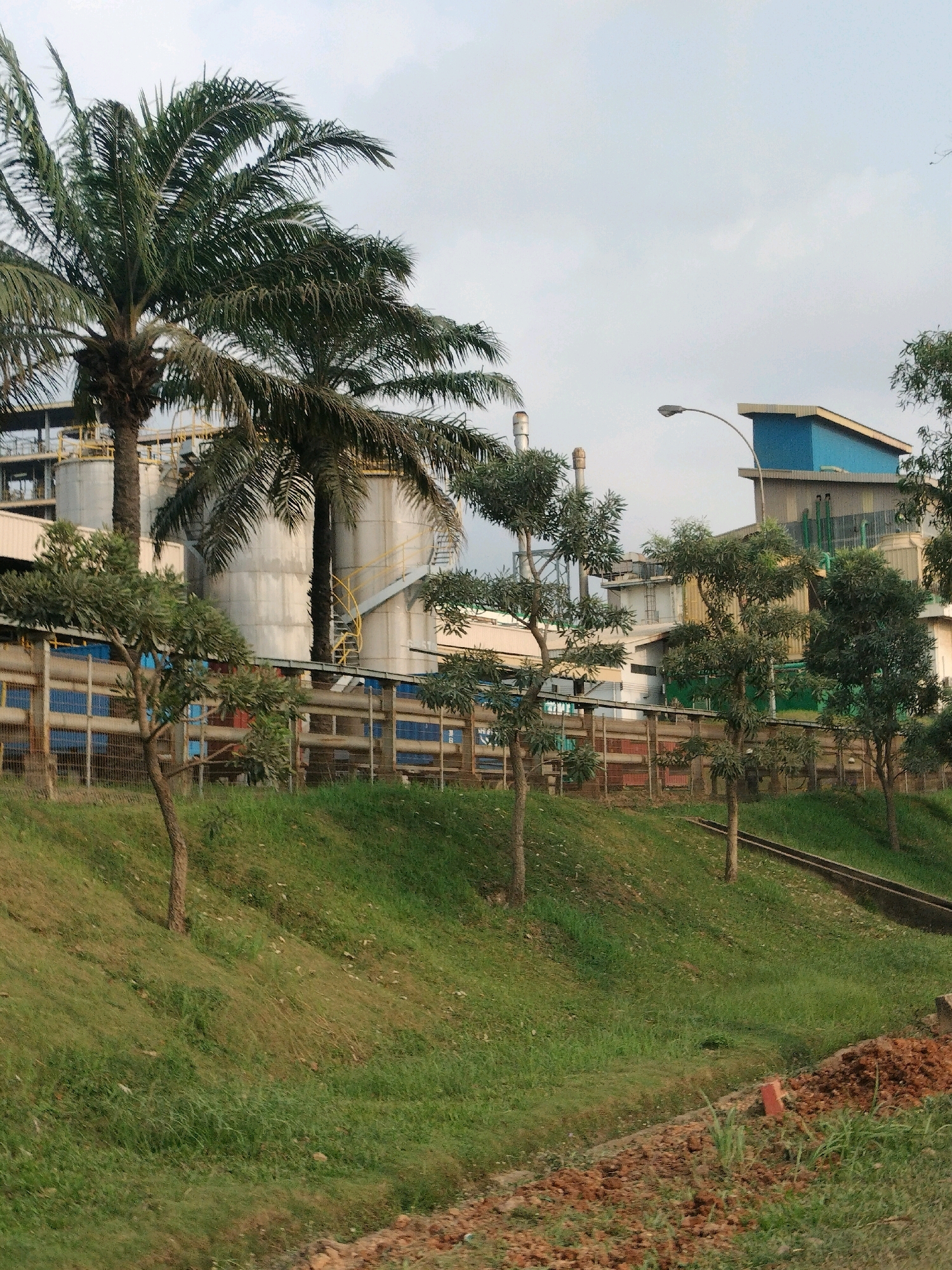 The image depicts an industrial facility with several large, cylindrical storage tanks and buildings, likely a factory or processing plant, set against a cloudy sky. Palm trees are prominently featured in the foreground and surrounding the facility, suggesting a tropical or subtropical environment. The facility is surrounded by a fence, and the ground in front is covered in green grass, indicating a potentially well-maintained area. The overall impression is of an active industrial site integrated into a natural landscape. Without specific landmarks or contextual information, it is impossible to pinpoint the exact location within Batam, Indonesia.
