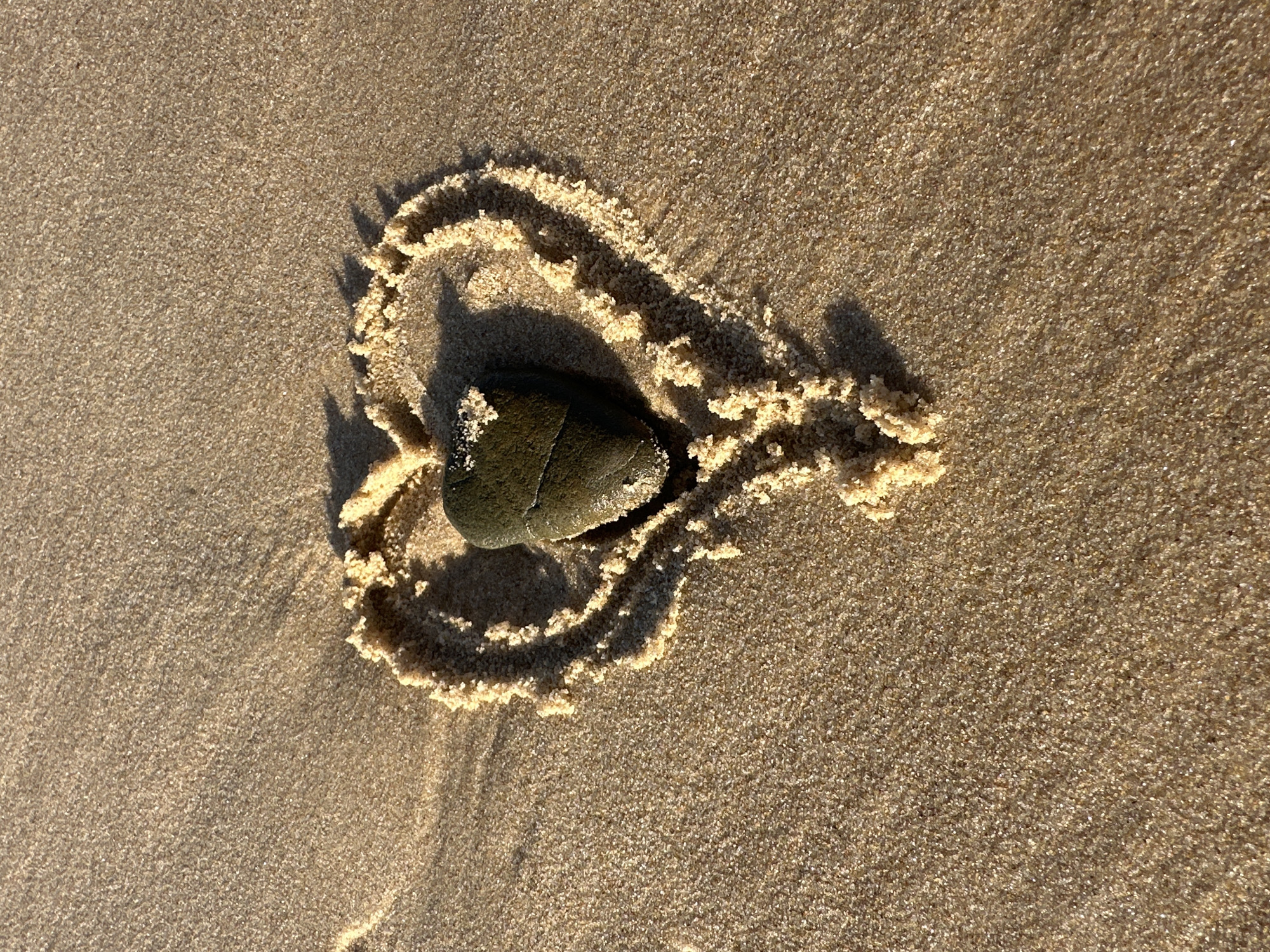 A heart shape drawn in sand on the beach at Mylestom, Australia, contains a single, dark, wet stone in the center. The sand is a light tan color and appears textured, with small grains visible. The heart outline is slightly imperfect, with some areas of raised sand. Sunlight casts shadows on the sand, highlighting the texture and the raised edges of the heart. The water's edge is not visible, but the presence of wet sand suggests it is nearby.