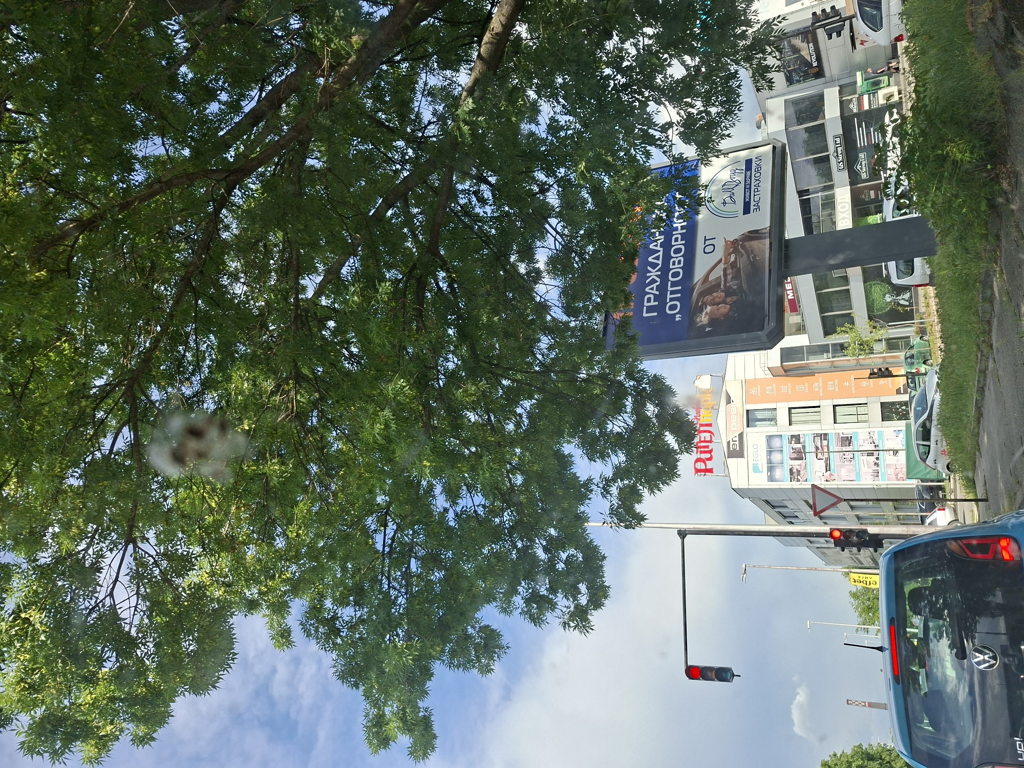 The image depicts a street scene in Pleven, Bulgaria. A large tree with dense green foliage occupies the left side of the frame, partially obscuring the sky. A billboard with the Cyrillic text "ГРАЖДАН 'ОТГОВОРНО OT" and the name "Ball Bulg" along with the phrase "ЖИВОТ И ЗДРАВЕ ЗАСТРАХОВКИ" (Life and Health Insurance) is visible behind the tree. In the background, there are several multi-story buildings with businesses visible, including "efbet" and "Public". A traffic light showing a red light is also in the scene. A blue car with a visible Volkswagen logo is in the foreground. A section of sidewalk and greenery lines the right side of the image.