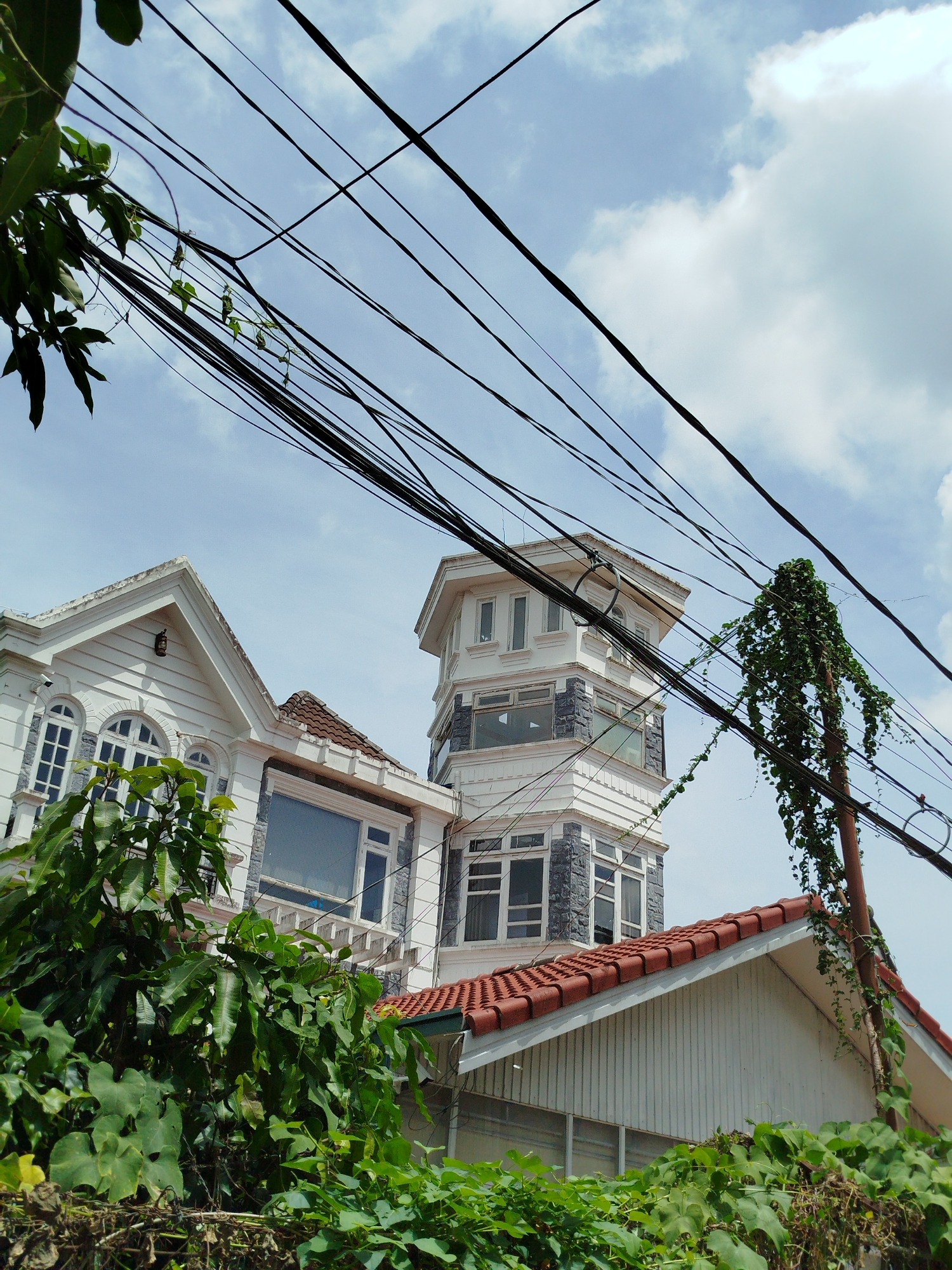 The image captures a close-up view of a multi-story white building with a distinctive octagonal tower, situated in Da Lat, Vietnam. The building features white siding, grey stone accents around windows, and a terracotta-tiled roof. Overhead, a dense network of black electrical wires crisscrosses the frame, obscuring portions of the blue sky, which is dotted with white clouds. Lush green foliage, including large leaves and climbing vines, partially covers the lower sections of the building and extends upwards, intertwined with the electrical wires. One vine vigorously wraps around a wooden utility pole. The scene is dominated by the architectural elements of the building and the pervasive presence of the overhead wires and surrounding greenery.