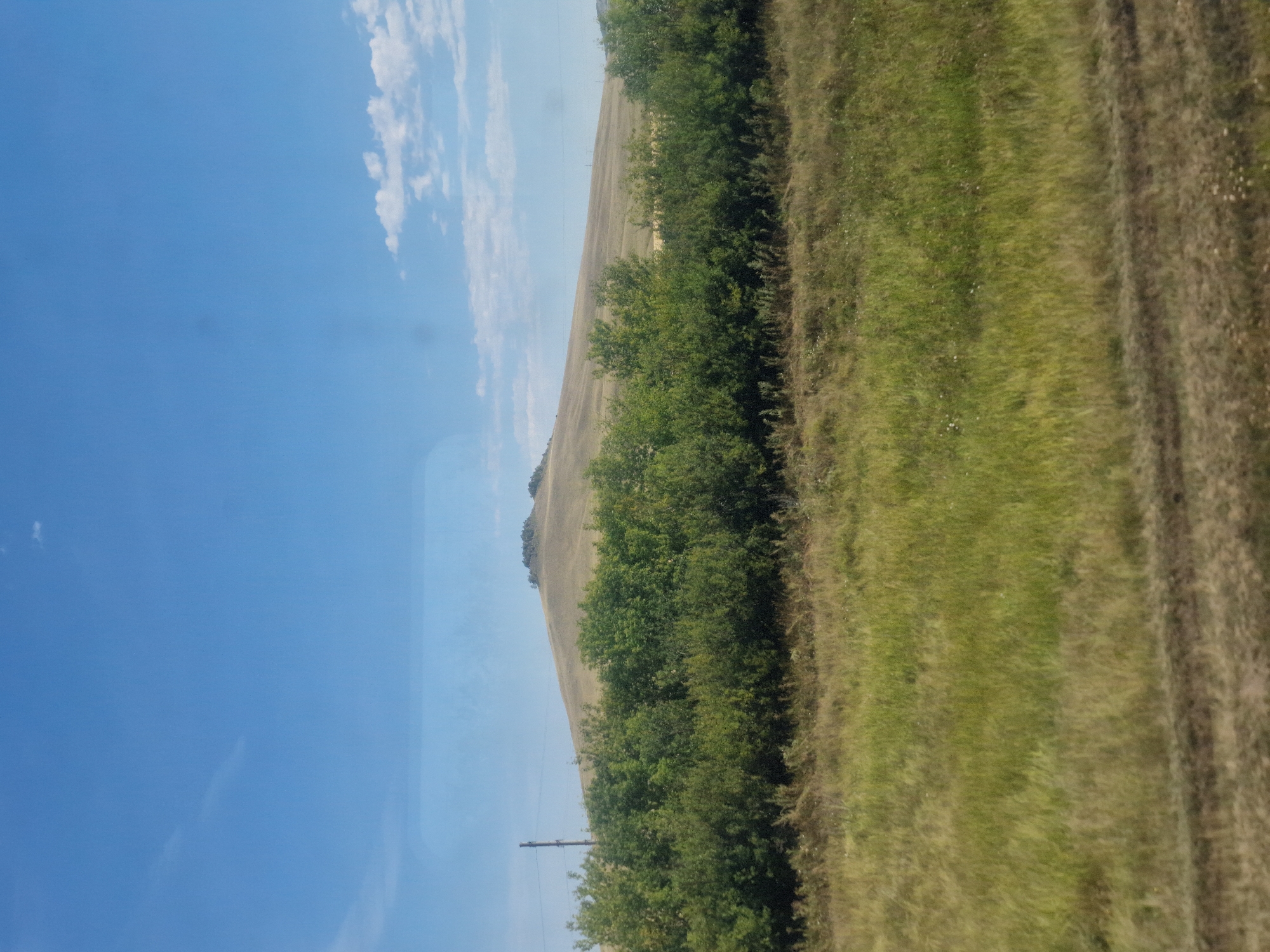 The image depicts a rural landscape under a bright blue sky with scattered white clouds. In the foreground, a field of dry, golden-brown grass with patches of green is visible, showing signs of recent disturbance or foot traffic. A line of dense green trees forms a mid-ground barrier, separating the grassy field from a gently sloping, tan-colored hill in the background. The hill is sparsely covered with vegetation, and a cluster of trees marks its summit. A single utility pole stands to the left of the hill, amidst the trees. The overall scene suggests a dry, pastoral environment, possibly during a warm season. The location is identified as Кенесары ауылдық округі, Kazakhstan.