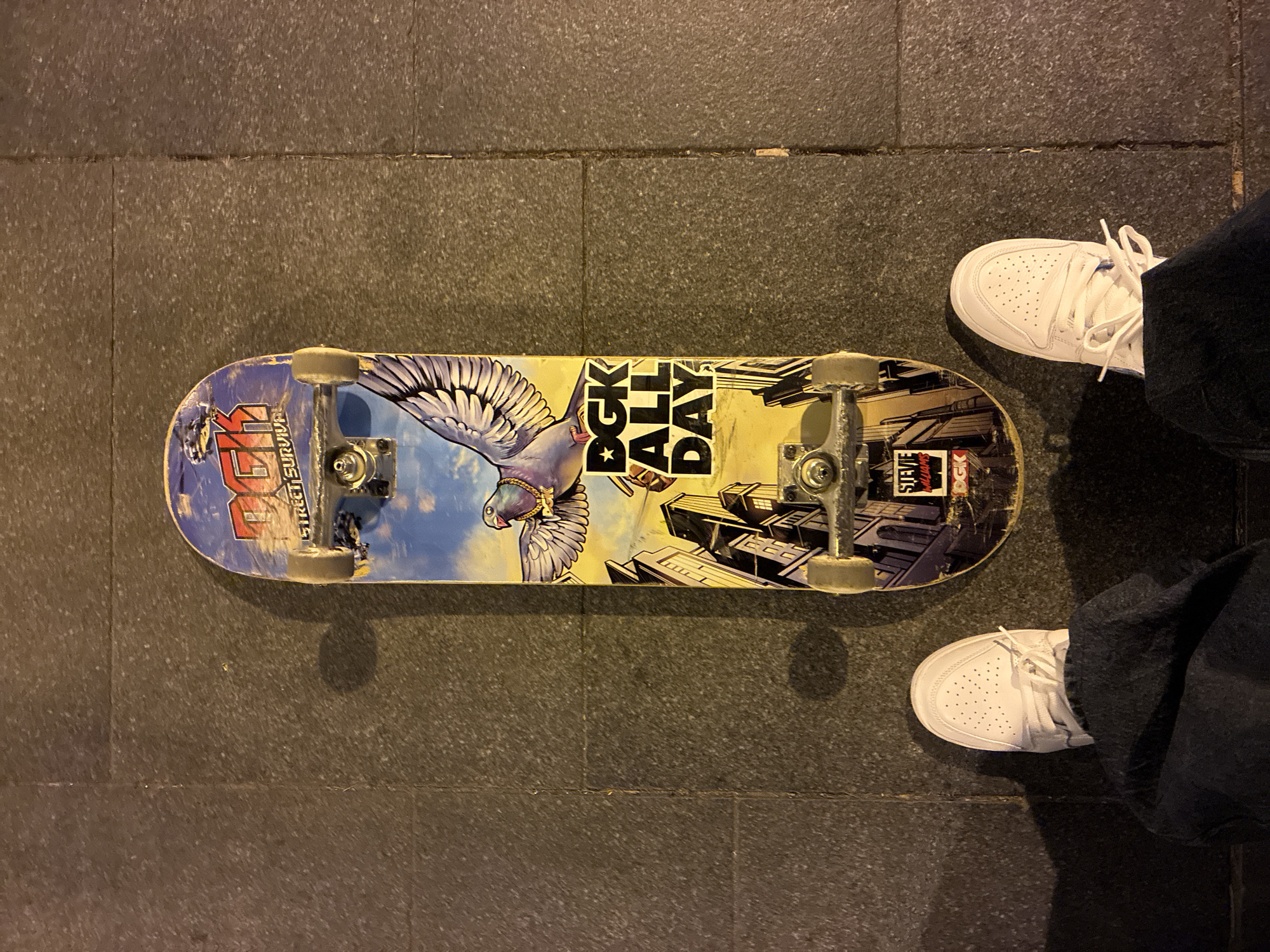 An overhead photograph shows a skateboard resting on dark grey paved ground, with a person's feet in white sneakers positioned on either side. The skateboard features a vivid graphic of a large pigeon with wings outstretched and a gold chain around its neck, flying above a stylized city skyline with several skyscrapers.
Visible text on the skateboard includes "DGK" and "STREET SURVIVOR" on the left side, and "DGK ALL DAY" stacked vertically in the center. A smaller section on the right also reads "STEVIE WILLIAMS". The board's trucks are silver, and the overall appearance indicates it is well-used, with some scuffs and wear.
The person's feet are clad in clean white low-top sneakers with white laces and perforated toe boxes. They are wearing dark-colored pants, likely jeans, which appear somewhat baggy. The ground is composed of large, dark grey square tiles with visible grout lines, suggesting a paved outdoor area like a sidewalk or public square. The lighting is dim, implying the image was captured at night or in a poorly lit indoor environment. The scene depicts a stationary moment, with no active movement, in an urban setting, contextually in Barcelona, Spain.