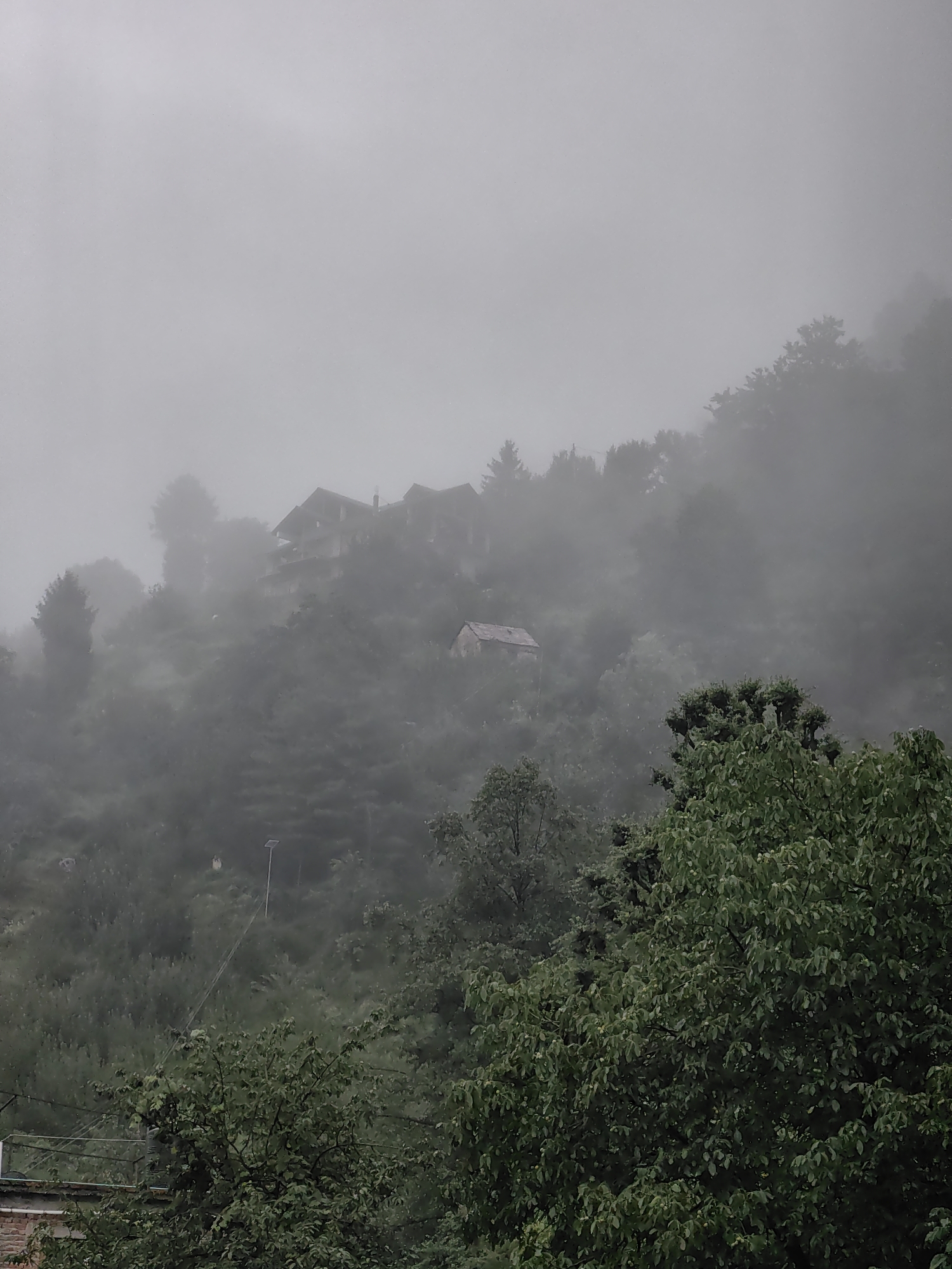 The image depicts a foggy, mountainous landscape, characteristic of Vashisht, India. In the upper mid-section of the frame, several buildings are partially obscured by mist, suggesting they are situated on a hillside. One building, a light-colored structure with a visible roofline, is positioned on the right side, further up the slope. The environment is dominated by dense vegetation, with numerous trees and foliage covering the terrain. In the foreground, on the right, a large tree with lush green leaves is prominent. The overall atmosphere is somber and hazy due to the heavy fog, which significantly limits visibility and softens the details of the scene.