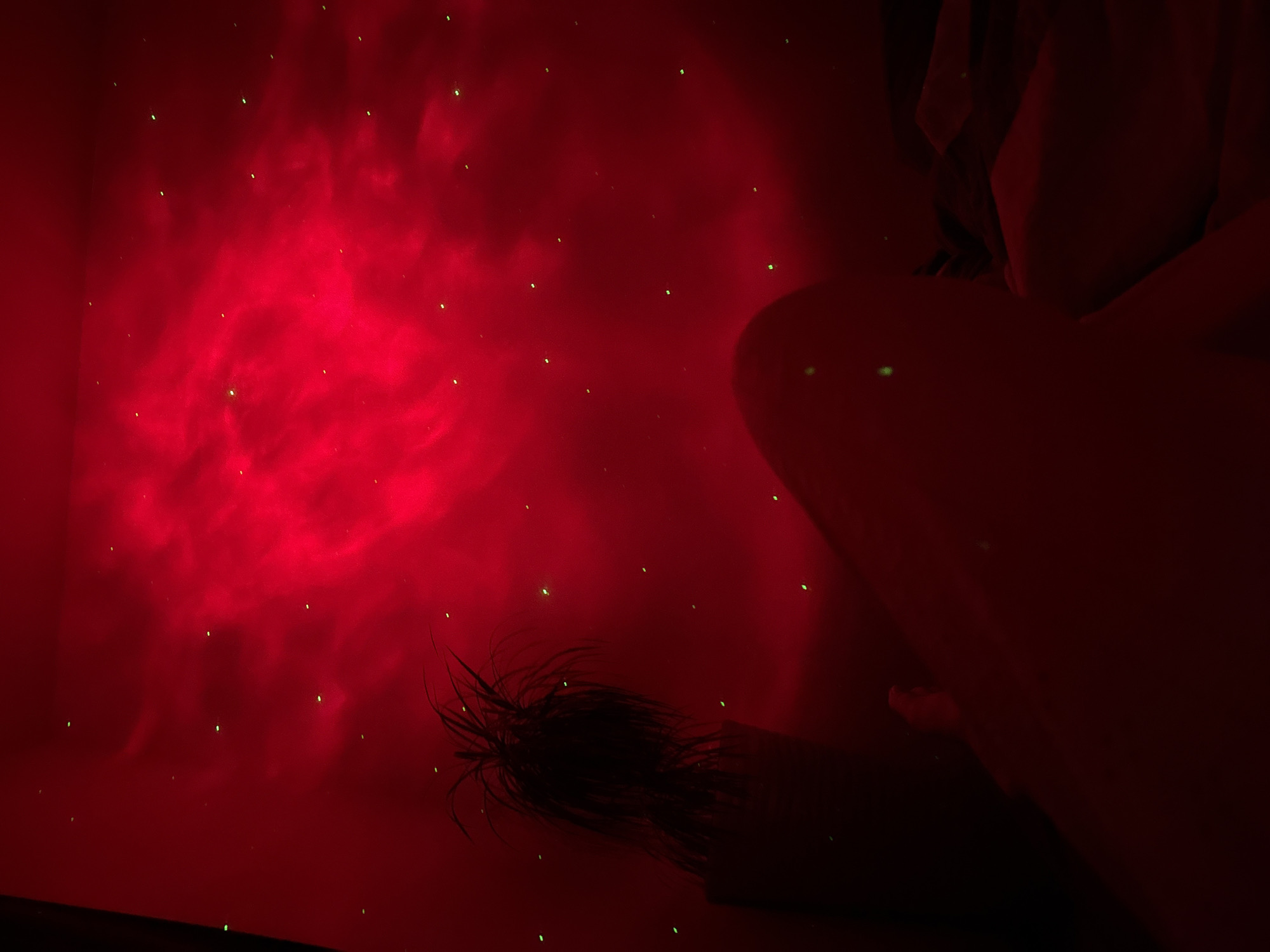 In a dimly lit room, a red nebula-like light pattern emanates from the ceiling, casting a reddish glow on the walls and surfaces. Small, scattered green dots, resembling stars, are interspersed within the red light. In the foreground, the silhouette of a person's legs and torso is visible, partially covered by bedding. To the left, a dark silhouette of a potted plant with spiky leaves stands against the illuminated wall. The scene appears to be a bedroom, likely in a residential setting. There are no observable elements within the image that would suggest a specific location in the city of Perm, Russia.