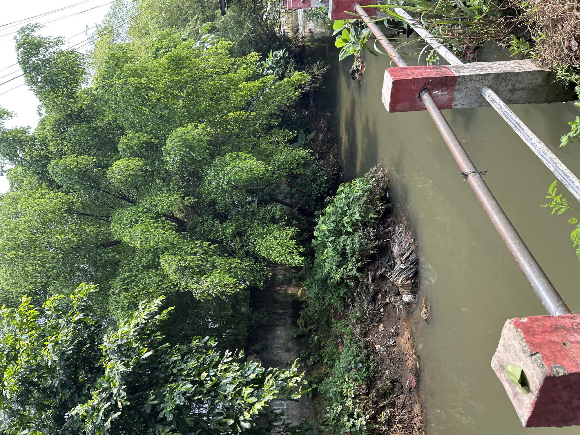 The image captures a narrow, murky canal bordered by overgrown vegetation and a dilapidated concrete wall. Debris, including plastic bags and other refuse, is visible along the canal banks and floating in the water. A weathered metal railing with red and white painted concrete posts stands in the foreground, indicating a pathway or bridge overlooking the canal. Lush green trees with dense foliage dominate the background, creating a canopy over the scene. The overall impression is one of urban neglect and environmental pollution within a densely vegetated area, consistent with the appearance of many informal settlements and waterways in Depok, Indonesia. There are no people or animals visible in the image.