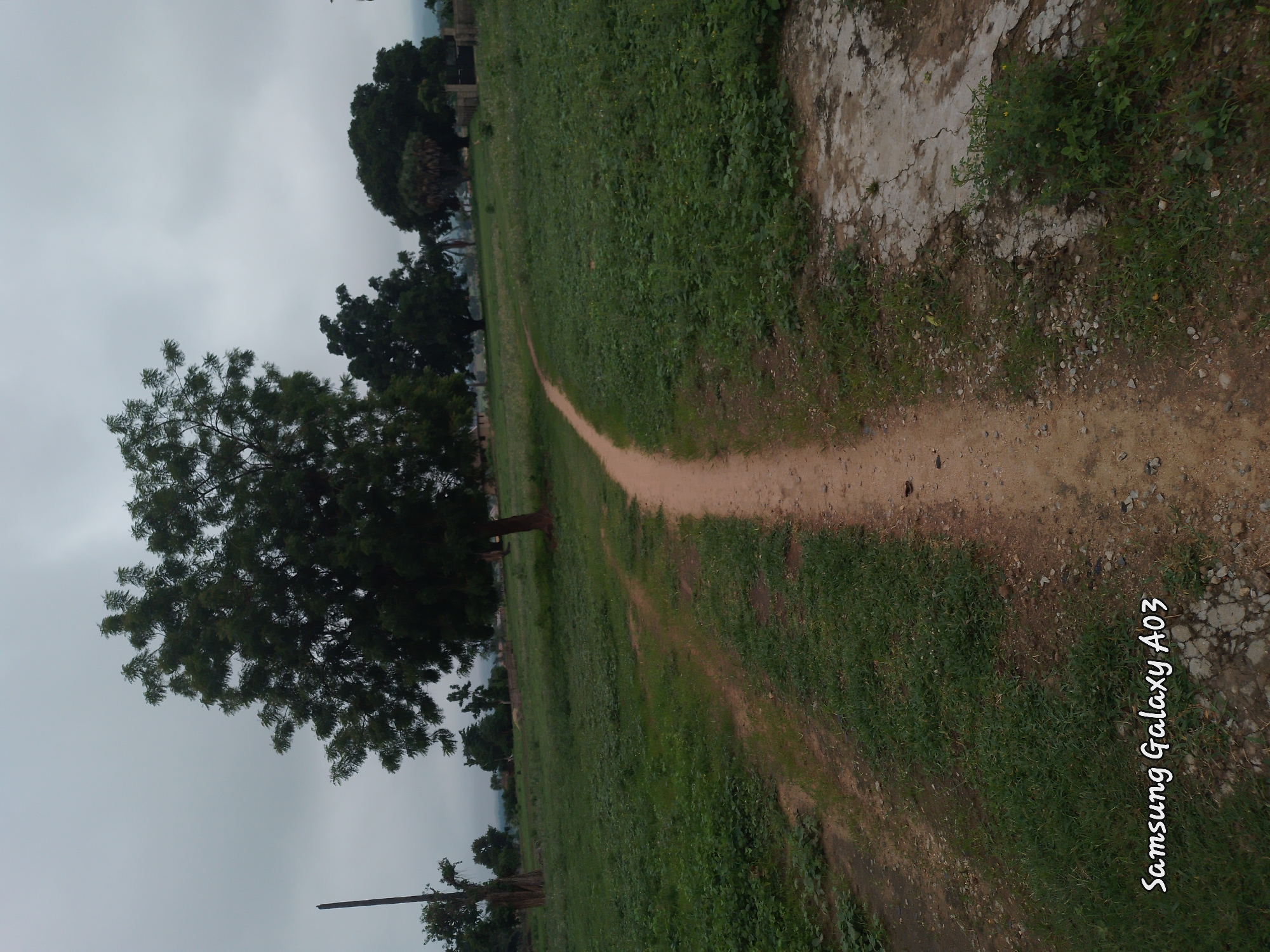 A dirt path winds through a grassy field under a cloudy sky. Trees are scattered across the landscape, with one particularly large tree dominating the left side of the frame. In the distance, more trees and some structures are visible, suggesting a rural or semi-rural setting, likely in or around Doka-Tofa, Nigeria. The ground is covered in short green grass and some patches of bare earth and gravel. A concrete slab with cracks is present on the right side of the path. The overall impression is one of a somewhat overcast day in a natural, undeveloped area. The watermark "Samsung Galaxy A03" is visible in the bottom left corner.