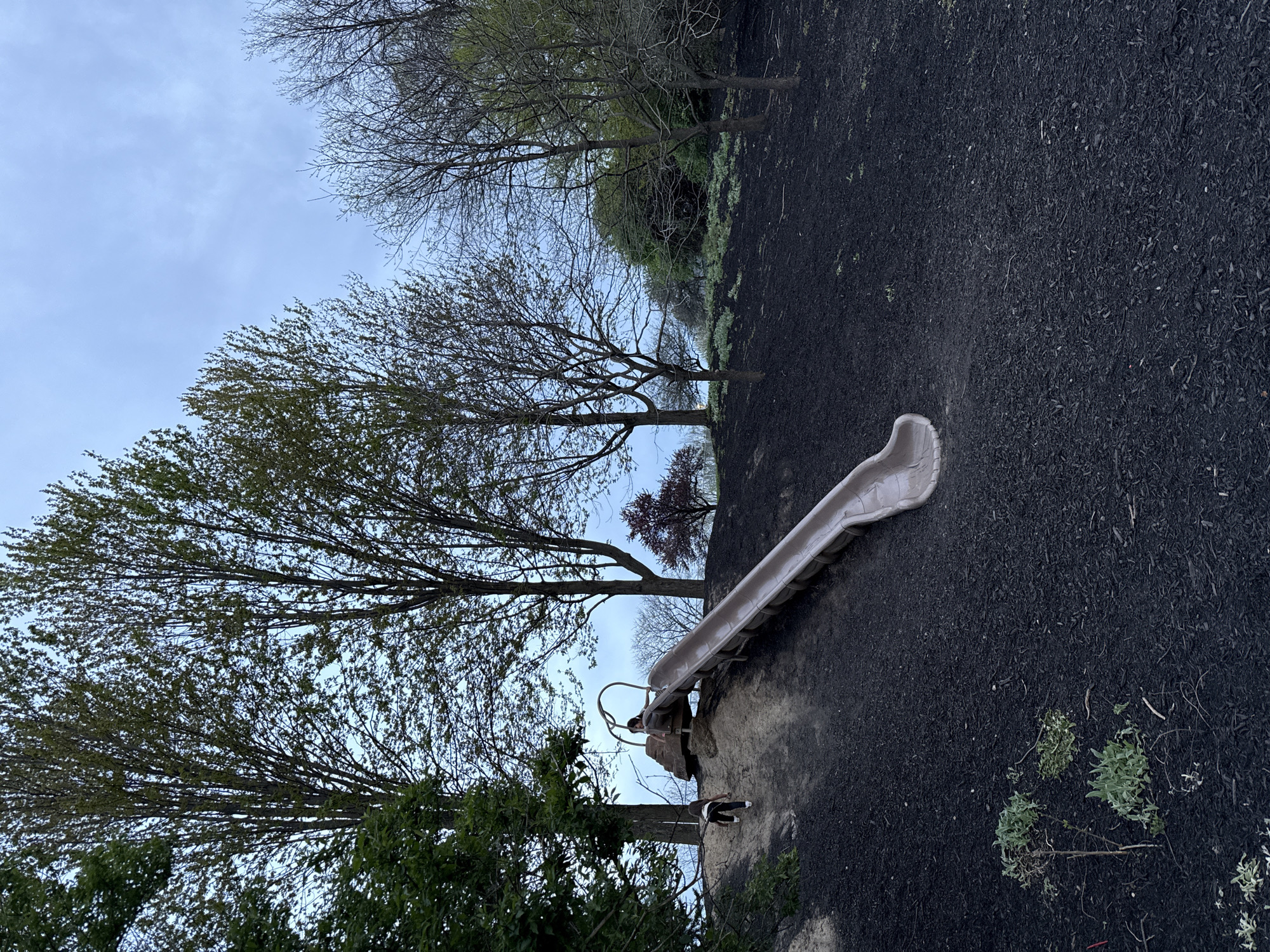 The image depicts an outdoor playground in Grove City, Ohio, United States of America. A tan slide is situated on a hill covered in dark mulch. Trees with budding leaves surround the play area. Two people are near the top of the slide. The sky is overcast.