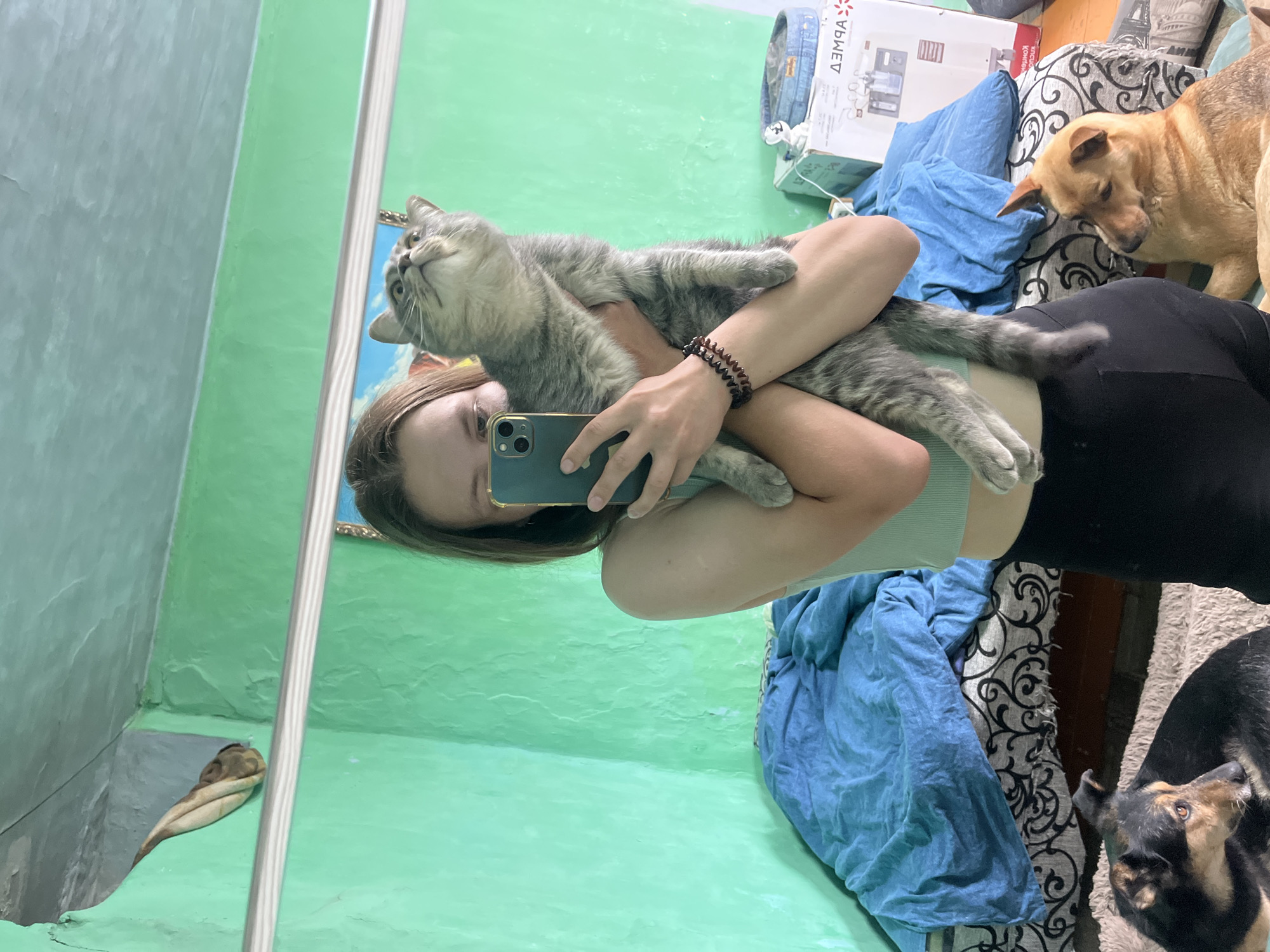 A young woman is taking a selfie in a room. She is holding a gray tabby cat. The cat is looking up and to the left. The woman is wearing a light green tank top and black leggings. In the foreground, two dogs are lying down on a rug. One dog is black and brown, and the other is tan. The room has green walls and a blue comforter on a bed. There is also a mirror on the wall, reflecting the scene. The room appears to be located in an apartment in Nizhny Tagil, Russia.