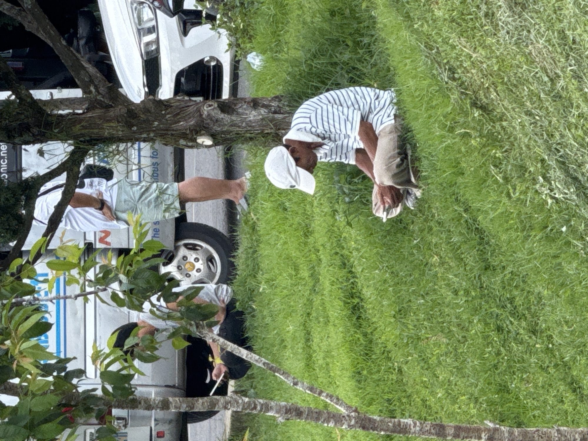 A man wearing a white baseball cap, a striped polo shirt, and tan pants sits on a grassy slope. He is holding a mobile phone and appears to be reading or interacting with it. The man is positioned to the right of the frame, near the base of a tree. In the background, to the left, another person is sitting near the side of a van, also appearing to be engaged with a device. A white car is parked to the right of the van. The environment is grassy with some trees and foliage. The scene appears to be in an outdoor, urban or suburban setting, possibly a rest stop or park area. The specific location, Phường Xuân Hương - Đà Lạt, Vietnam, is identified as the context of this image.