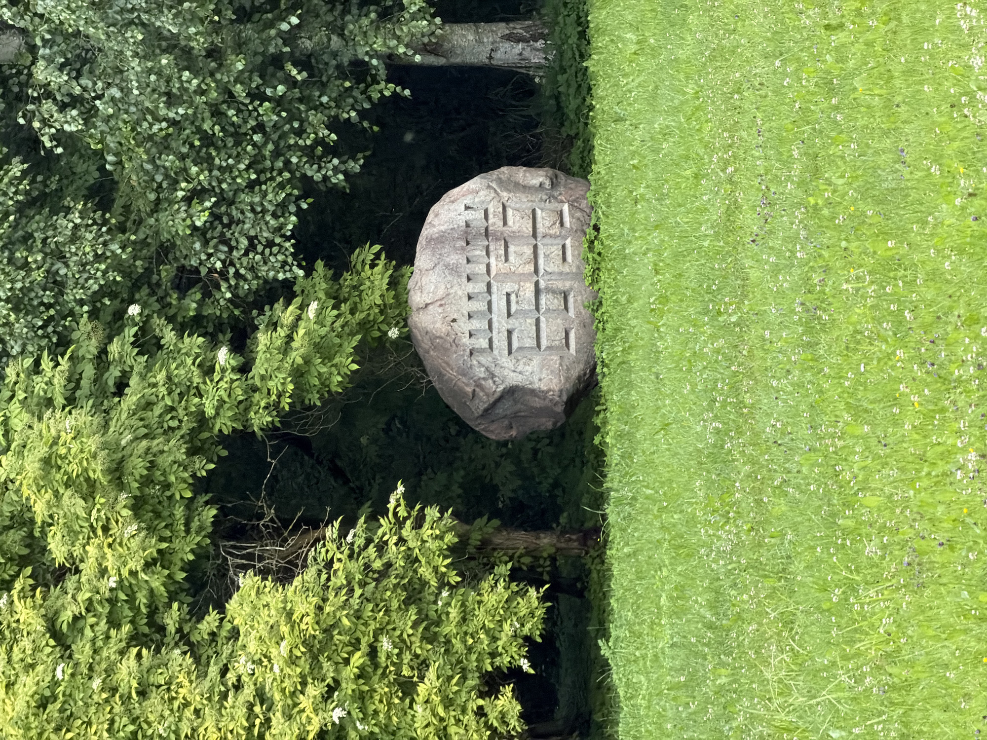 An outdoor medium shot captures a large, rough-hewn boulder positioned in a grassy area, with trees forming a dark backdrop. The boulder is marked with a geometric pattern of carved squares and lines. The foreground is a field of vibrant green grass dotted with small white and purple wildflowers. In the background, a dense arrangement of leafy trees with some scattered white flowers provides a natural setting. The light suggests it is daytime. This scene is located in Ulbroka, Latvia.