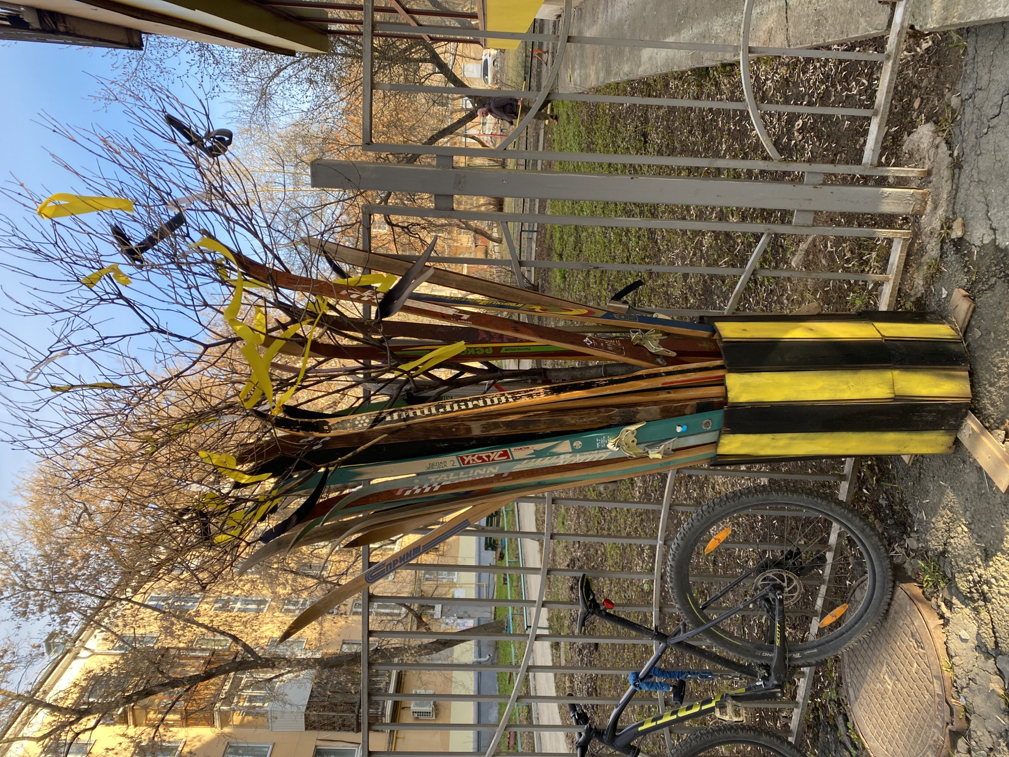 An outdoor scene depicts a public artwork in what appears to be Yekaterinburg, Russia. The artwork consists of a striped black and yellow container filled with old skis. Bare tree branches extend from the top of the skis, with yellow ribbons and two black objects tied to them. A bicycle with yellow accents rests against the metal fence in front of the artwork. Beyond the fence, a low-rise building is visible, along with bare trees. The ground is paved with cracked concrete.