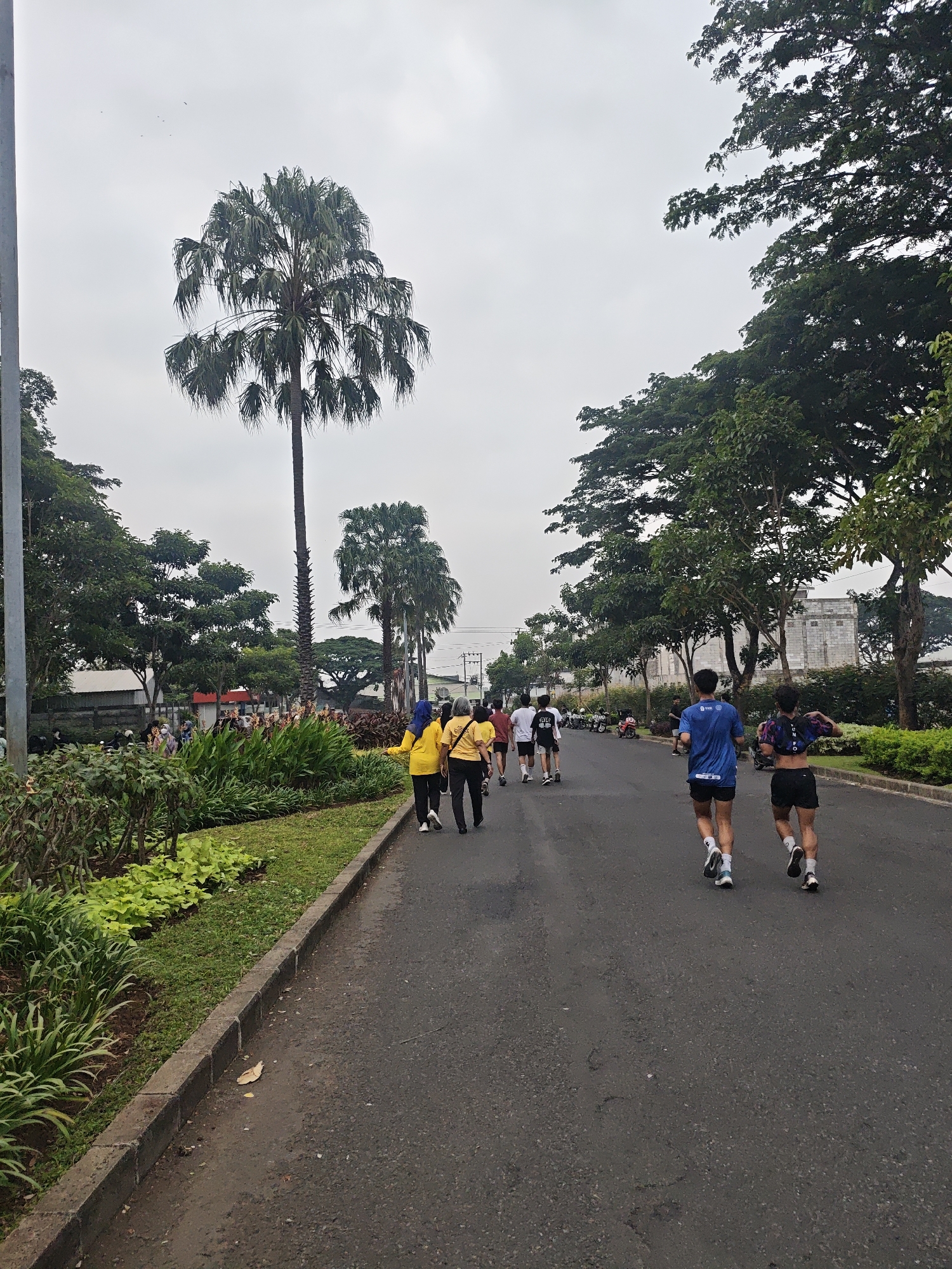 The image depicts a paved road with a grassy verge and a line of trees, including a prominent palm tree, on the left. A group of people are walking and running on the road. In the foreground, two individuals are running away from the camera, one in a blue t-shirt and black shorts, and the other in a dark patterned top and black shorts. Further up the road, a group of people are walking, with one person in a yellow shirt and blue headscarf. The environment appears to be an urban or suburban area with buildings visible in the background. The sky is overcast. The overall scene suggests an outdoor activity or event taking place on a cloudy day. The location is identified as the city of Bacin, Indonesia.