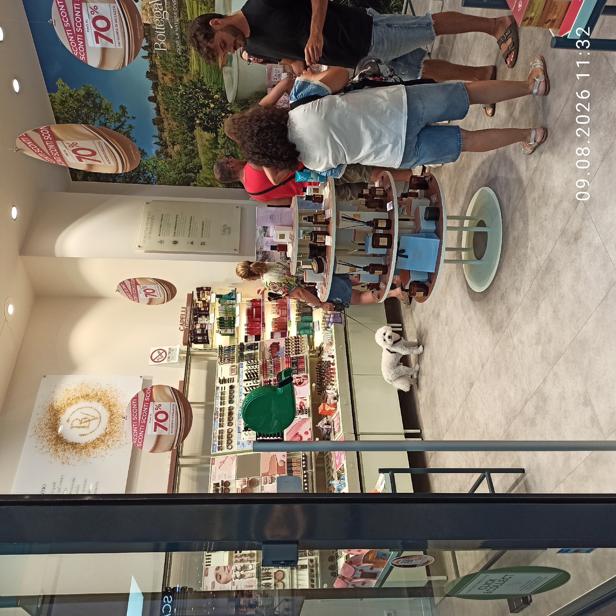 The image depicts the interior of a retail store, likely a beauty or cosmetic shop, with various products displayed on shelves and stands. Several people are present, including a man in a black t-shirt and denim shorts, a woman in a white top and denim shorts, and another woman in a floral print top and denim shorts. A white dog is also visible standing on the floor. The store features promotional signage, including circular hanging signs advertising "SCONTI SCONTI SCONTI" (discounts) up to "70%" and a larger sign with "Bottega Verde" branding, which is a well-known Italian retailer specializing in natural cosmetics and skincare. The store is well-lit with overhead lights. A display rack with various bottles and jars of products is in the foreground, with a round table-like display next to it. In the background, shelves are stocked with numerous beauty products. The floor is tiled in a light gray color. The date and time "09.08.2026 11:32" are superimposed on the lower right portion of the image. Based on the "Bottega Verde" branding and typical store layouts, this scene is likely located in Molfetta, Italy, a city known to have such retail establishments.