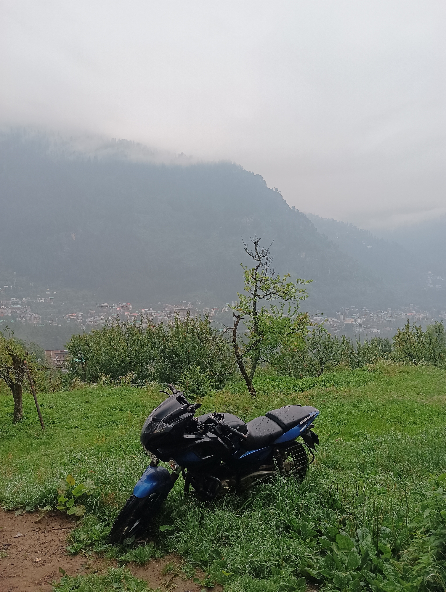 A motorcycle is parked on a grassy hillside overlooking a town nestled in a valley. The town is visible in the distance, with buildings spread across the slopes of a mountain range. The sky is overcast with fog or clouds, creating a soft, diffused light and obscuring the tops of the distant mountains. Lush green grass covers the foreground, with a dirt path leading into the lower left corner of the frame. A lone, bare-branched tree stands to the left of the motorcycle. The motorcycle itself is dark blue and black, with visible water droplets on its surface, suggesting recent rain.