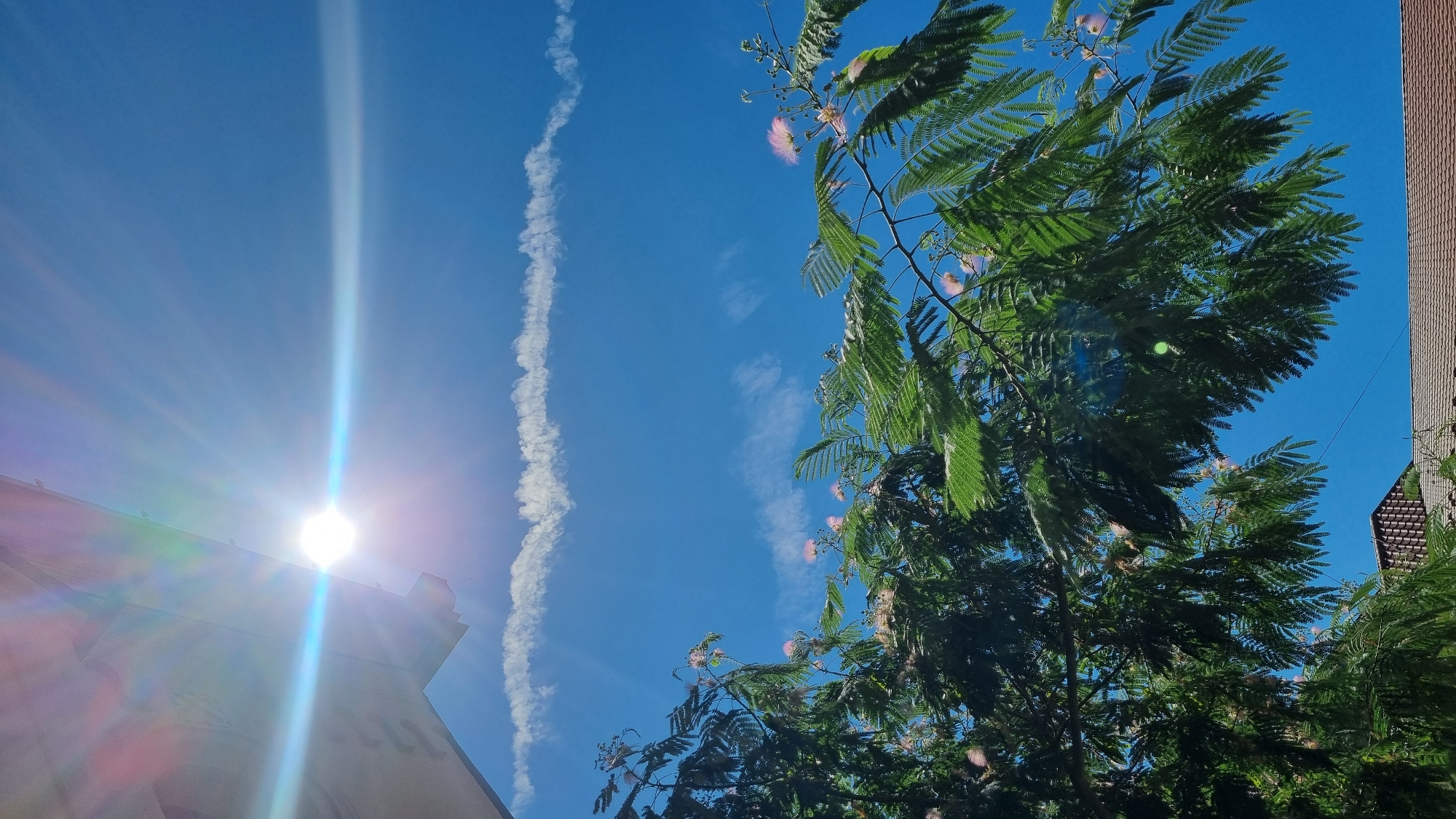 A bright sun shines in a clear blue sky, creating lens flare in the upper left quadrant of the image. A thin, elongated cloud formation stretches horizontally across the sky, below the sun. In the foreground, branches of a tree with vibrant green, feathery leaves and delicate pink blossoms arc into the frame from the left and right. A portion of a tiled roof is visible at the bottom of the image, suggesting an urban or suburban setting. The overall impression is of a sunny day with lush vegetation. No people or animals are visible. This scene is not specifically identifiable as being in Berehove, Ukraine, based on visual evidence alone.