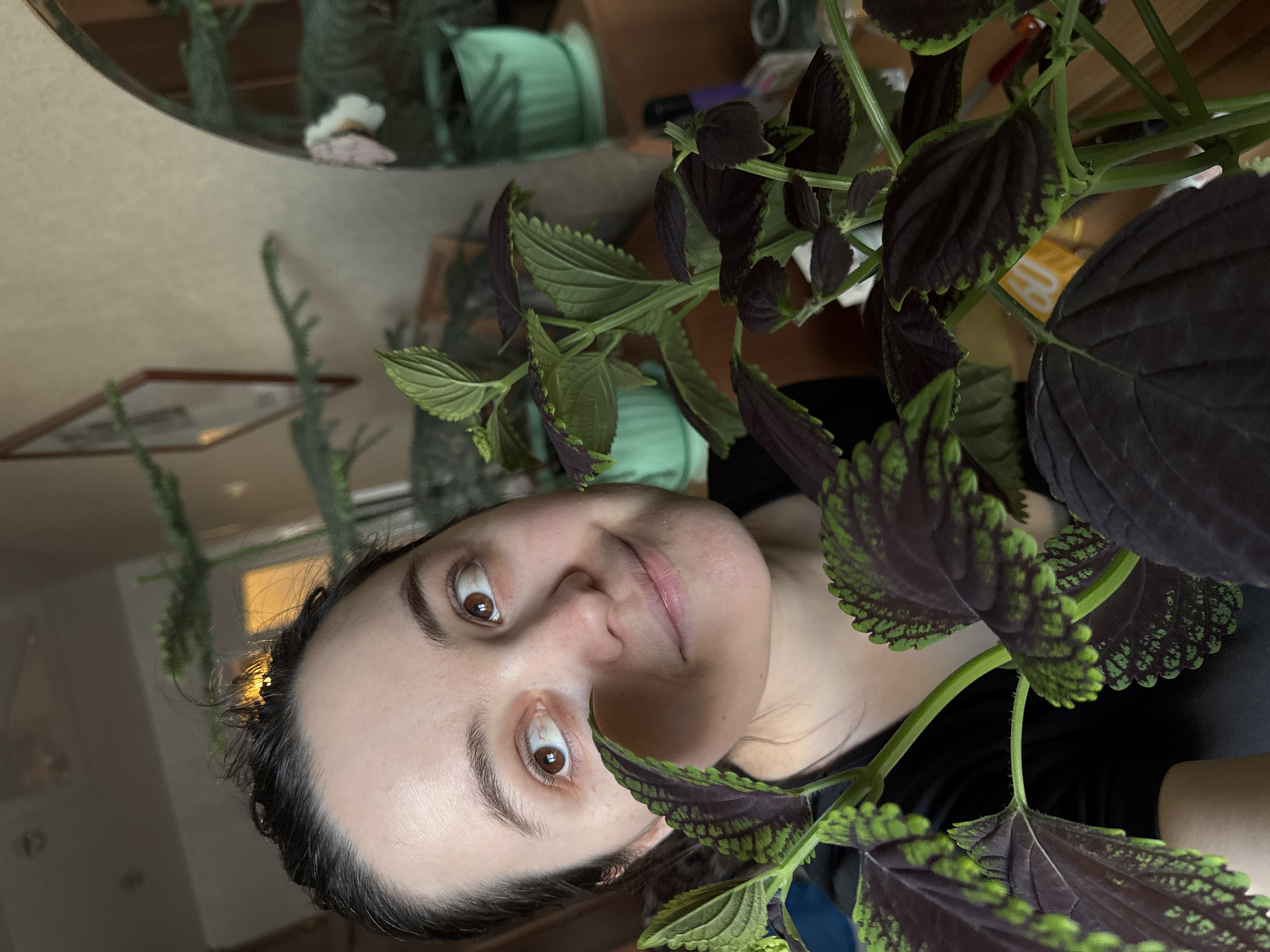An eye-level, close-up portrait features a young adult female partially framed by a houseplant indoors. The image is rotated 90 degrees, showing the woman's face looking upwards with wide, alert brown eyes and a subtle, closed-lip smile. She has fair skin, dark hair, and dark eyebrows.
The foreground and midground are dominated by a vibrant houseplant, likely a Coleus, characterized by its distinctive dark purple leaves with prominent lime green edges. Several of these leaves and thin green stems are prominently displayed around the woman's face.
The background is blurred, revealing reflections from a mirror, suggesting an indoor setting like a home. Within these reflections, hints of other elements of a room are visible, including what appears to be another plant or decorative object, and a framed item that could be a picture or another mirror. A light green, possibly cylindrical object is also vaguely discernible in the soft-focus background.
The overall impression is a casual, intimate moment, possibly a selfie or a close-up photograph taken within a domestic space in Izhevsk, Russia. The lighting is soft and even, indicating an indoor environment without direct harsh sunlight. A small, yellow label with the partially visible text "UBU" (or "BU") can be seen behind some of the plant's leaves.