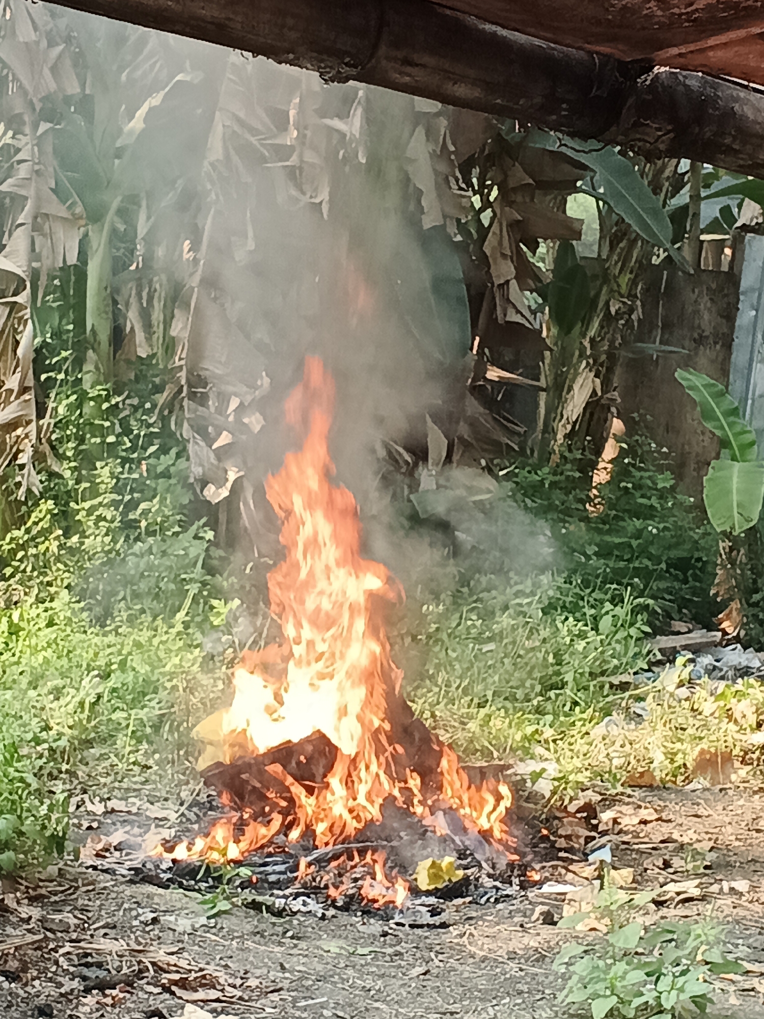 A fire burns in a pile of debris and vegetation on a dirt ground. The fire is active and produces a column of smoke that rises into the air. Behind the fire, there is dense green foliage, including what appear to be banana plants, and a wooden structure or overhang. The scene suggests an outdoor, possibly rural or semi-rural, setting. The location is identified as Tambak Kemerakan, Indonesia.