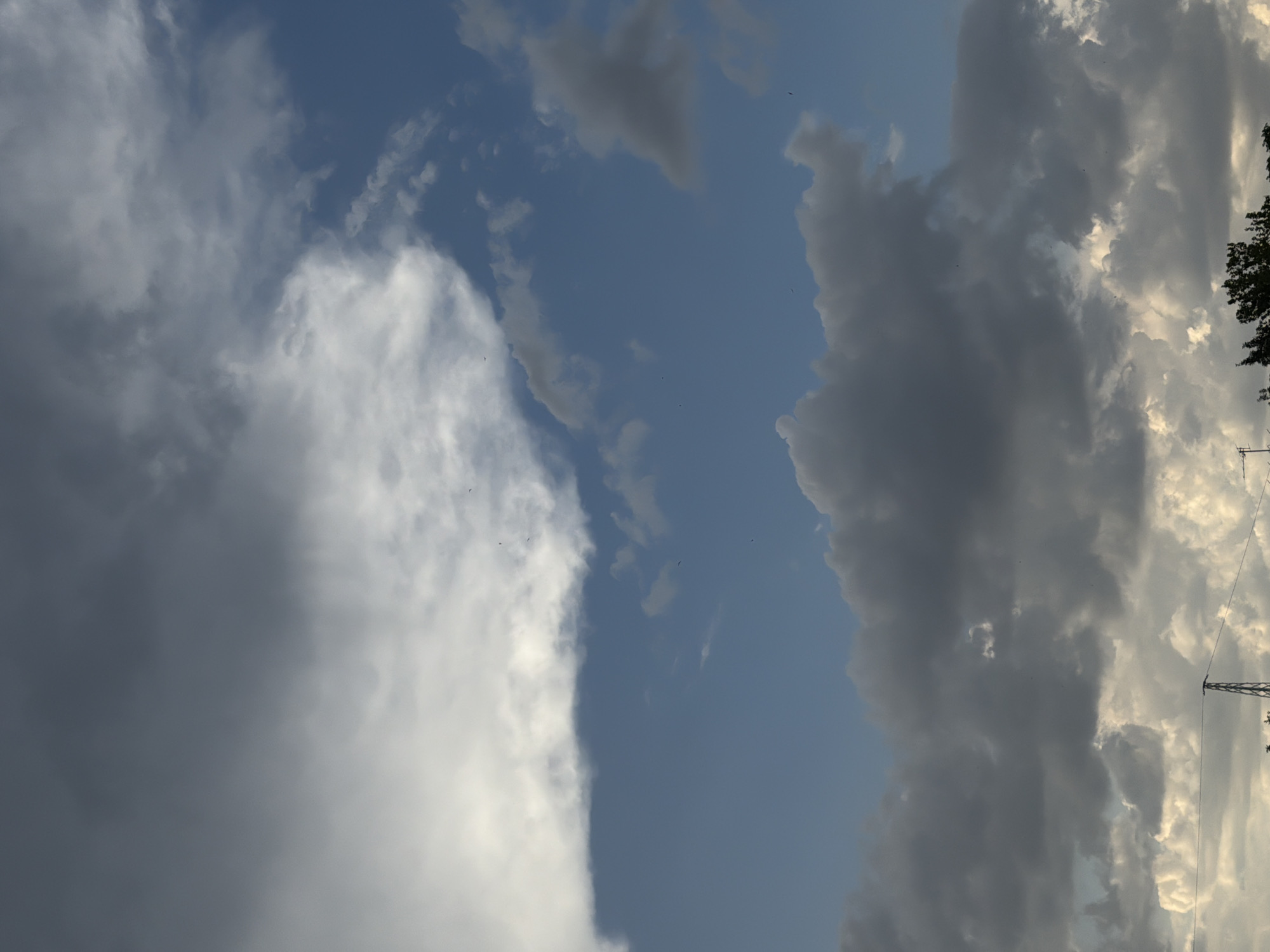 The image shows a sky filled with various cloud formations. In the upper portion of the image, there are dark, heavy clouds mixed with brighter, wispy clouds, suggesting a dynamic weather system. The lower part of the sky is a clear blue, with some scattered, darker clouds. In the far distance, at the bottom of the frame, a power line tower is visible, along with the tops of trees, indicating an outdoor environment. The image appears to be taken from ground level, looking upwards towards the sky. The time of day seems to be late afternoon or early evening, as the lighting suggests the sun is low in the sky. The location is the city of Chirchik, Uzbekistan.