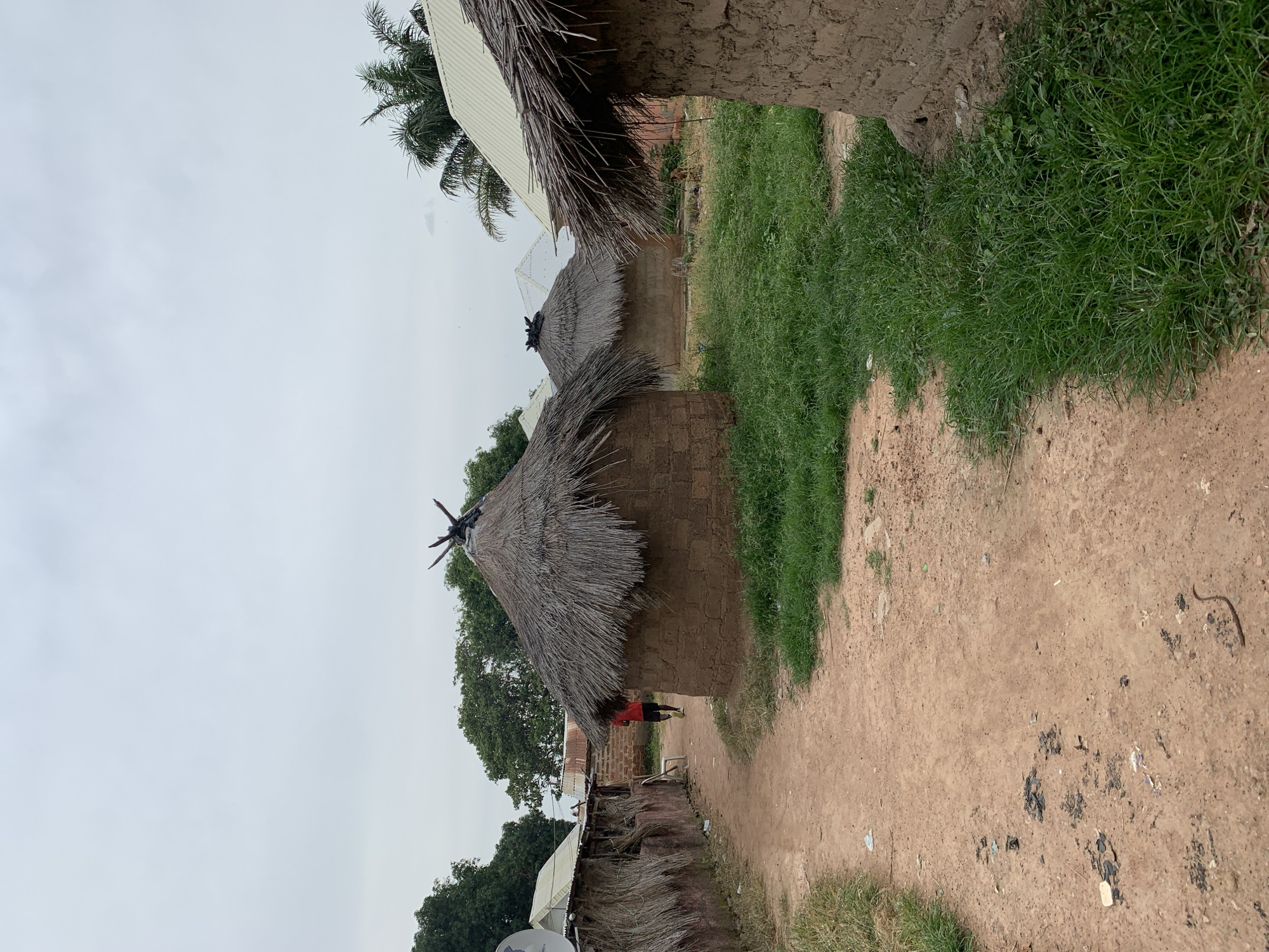 This media file depicts a scene in Wukari, Nigeria, featuring several traditional huts with thatched roofs and mud brick walls. The huts are situated along a dirt path. In the foreground, a young person wearing a red shirt and yellow shorts stands on the path between two huts, facing away from the camera. To the right of the path, there is a patch of lush green grass. In the background, more huts are visible, some with corrugated metal roofing alongside the thatched roofs. A palm tree is visible on the left side of the image, and other trees with green foliage are scattered throughout the scene. The sky is overcast, suggesting a cloudy or possibly rainy day. The ground is a light brown dirt with some scattered debris. The overall impression is of a rural village setting. There is no visible text in the image.