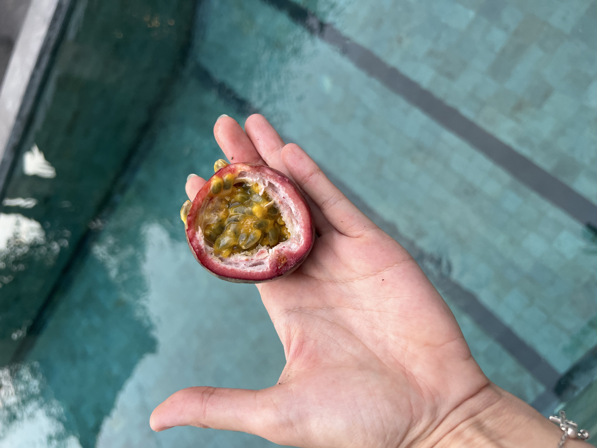 A light-skinned human hand, positioned centrally, holds a halved passion fruit against a blurred background of a turquoise swimming pool. The passion fruit displays a dark reddish-purple skin, a pale pinkish-white interior rind, and vibrant yellow-orange pulp containing numerous black seeds. The hand shows defined palm lines and a silver-colored bracelet with a small, reflective charm on the wrist. The swimming pool background features subtle surface ripples and darker, linear patterns beneath the water, suggesting pool lane markers or tile grout. The scene is located in Canggu, Indonesia.