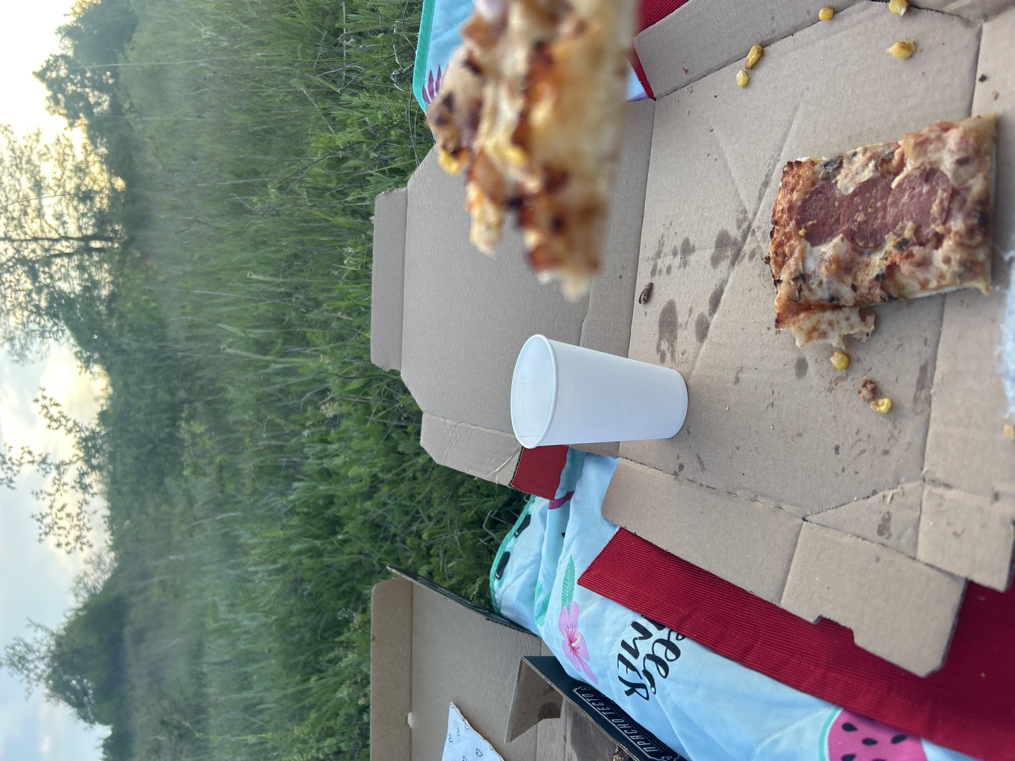 The image depicts a partially eaten pizza in a cardboard box, alongside a white cup, likely taken during a picnic outdoors. The setting appears to be a grassy area, possibly a field or park, under natural light. In the distance, trees are visible, suggesting a rural or suburban location. The pizza box is resting on top of a blanket. There is no identifying information about the city. The image does not contain people.
