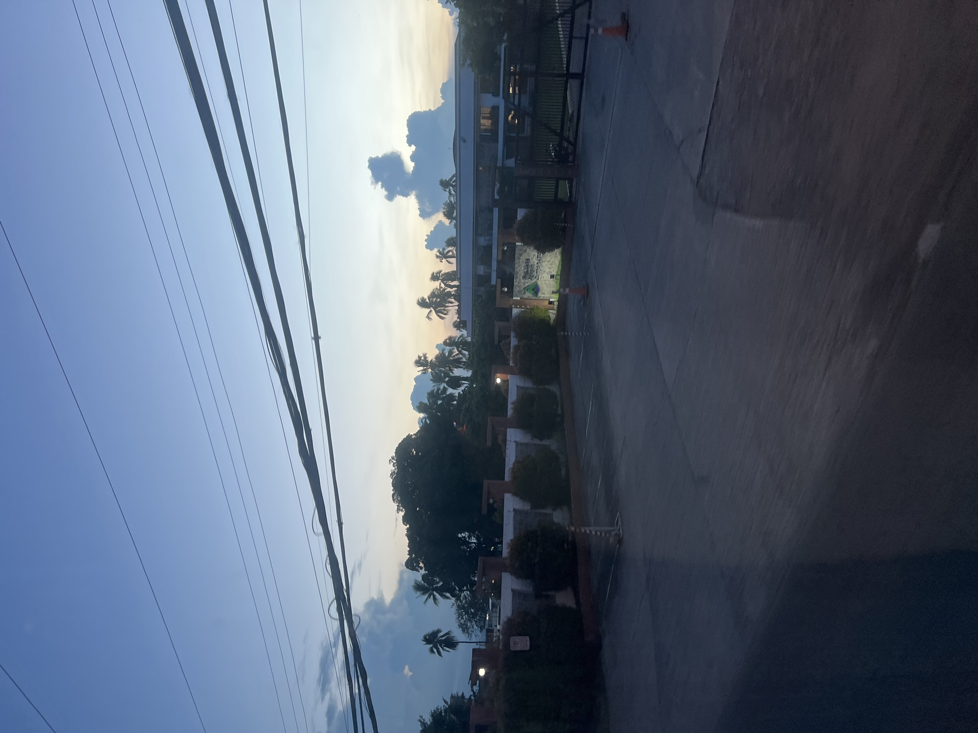 The image captures a street view in Davao City, Philippines, during dusk. In the foreground, a paved area, likely a parking lot or road, is visible. The middle ground features a low wall with decorative elements and several evenly spaced, round, dark green bushes. Beyond the wall, a building with a white facade and multiple windows is situated. A large metal gate with vertical bars is in front of the building. Palm trees and other dense foliage are scattered across the background, with some trees forming a dark silhouette against the sky. Overhead, a complex network of thick power lines stretches across the frame. The sky is a gradient of deep blue at the top, transitioning to lighter hues of blue and yellow near the horizon, with scattered clouds. The lighting suggests it is either early morning or late evening.