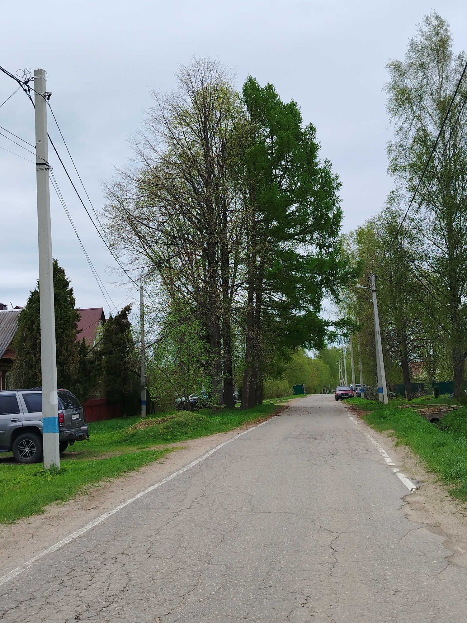 The image depicts a straight, paved road in a residential area, likely a small town or rural location. The road surface is cracked and marked with a white line separating lanes. On the left side of the road, a gray SUV is parked, and a light gray utility pole stands with several electrical wires running from it. A house with a red roof is partially visible behind some evergreen trees. On the right side of the road, there is a row of trees and a concrete utility pole. Further down the road, several parked cars are visible, including a red one. The sky is overcast, and the trees are in varying stages of leaf development, suggesting early spring. The overall environment seems quiet and suburban.