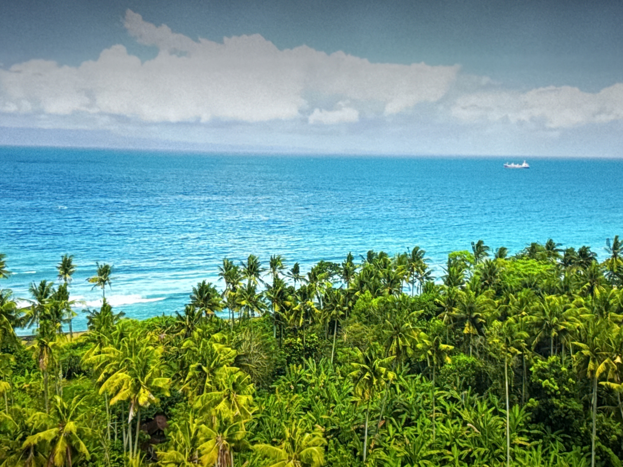 The image depicts a scenic view of a tropical coastline with a dense forest of palm trees in the foreground and a vast expanse of turquoise ocean in the background. The sky is a pale blue with scattered white clouds. A small ship is visible on the horizon in the distance. The vegetation is lush and verdant, with a variety of palm trees and other tropical plants. The ocean appears calm with gentle waves breaking near the shore. The overall impression is one of a serene and idyllic tropical paradise. There is no indication of the city of Burgas, Bulgaria, in this image.