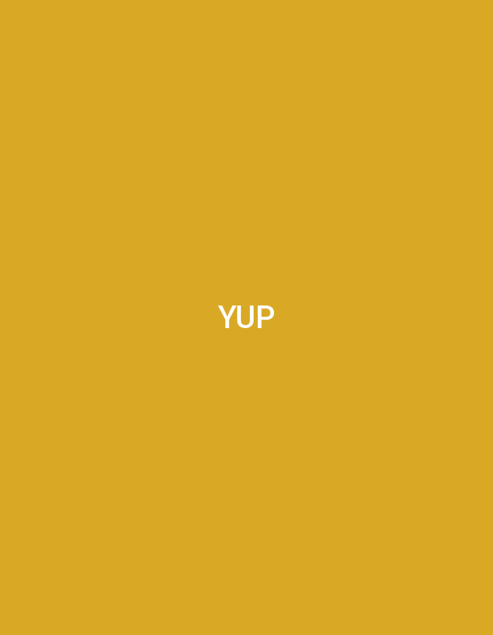 The image displays a solid, uniform mustard yellow background. Centered on this background is the word "YUP" rendered in white, uppercase, sans-serif characters. No people, subjects, objects, actions, interactions, or environmental details are depicted. The visual content of the image does not provide any information to identify a specific geographical location, therefore, its placement in the city of Casablanca, Morocco, or any other physical location, cannot be determined.