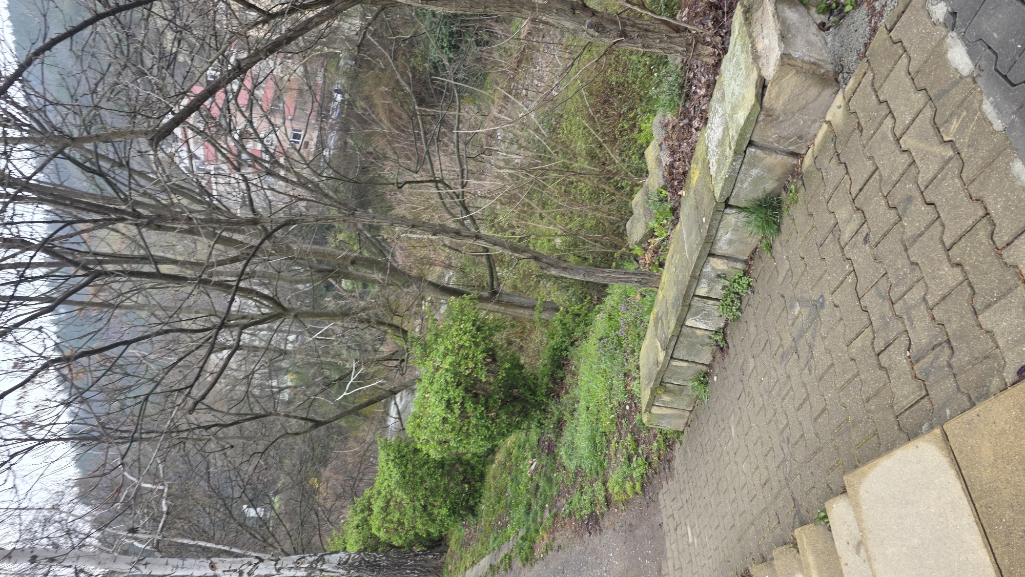 The image presents an outdoor scene in what appears to be a park or garden setting. There's a stone retaining wall with greenery growing beside it, and a paved pathway made of gray interlocking blocks. The path has concrete steps. A backdrop of bare trees with intricate branch patterns, suggesting it could be late fall or winter. Through the branches, buildings with red rooftops are visible, indicating an urban area in the distance. The perspective is slightly tilted, which might suggest the pathway is on a slope. The overall atmosphere suggests a peaceful, possibly secluded location within a city or town. Location is likely Blagoevgrad, Bulgaria.