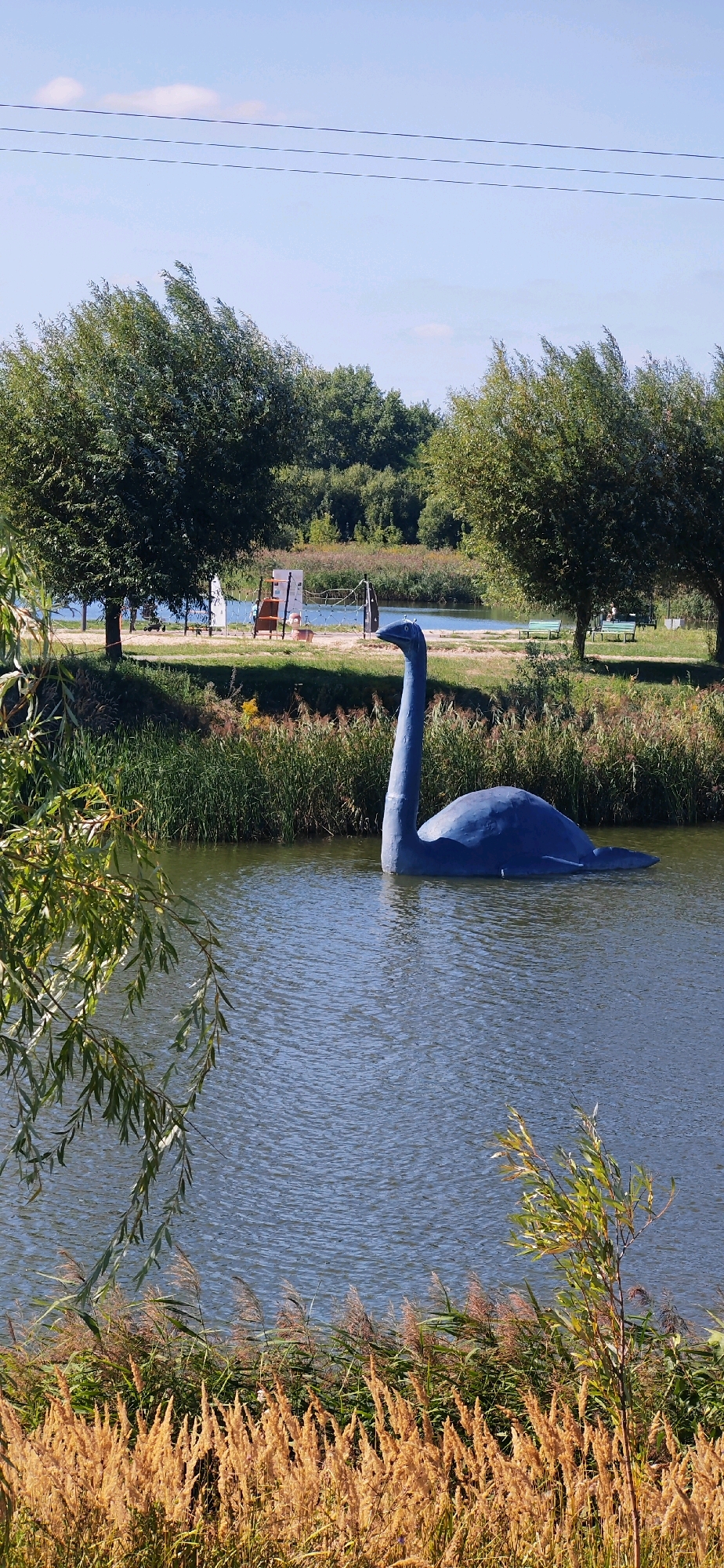 The image captures a statue of the Loch Ness Monster partially submerged in a body of water, likely a pond or small lake. The statue is a dull blue color and is positioned in the center of the frame, with its long neck and head emerging from the water. The foreground is dominated by tall, dry reeds and grasses, with some green foliage from a tree branch hanging into the frame from the left.
In the background, there is a treeline with lush green trees. Beyond the water, a grassy area is visible, with several park benches and a children's play area. A sign is also present near the play area. The sky is clear and blue with a few wispy clouds. Power lines are visible horizontally across the upper portion of the sky. The overall scene appears to be a recreational area or park.
While the user has requested the location to be in the city of Homyel, Belarus, there is no visual information within the image to confirm or deny this specific location. The scene depicts a typical park or lakeside environment.